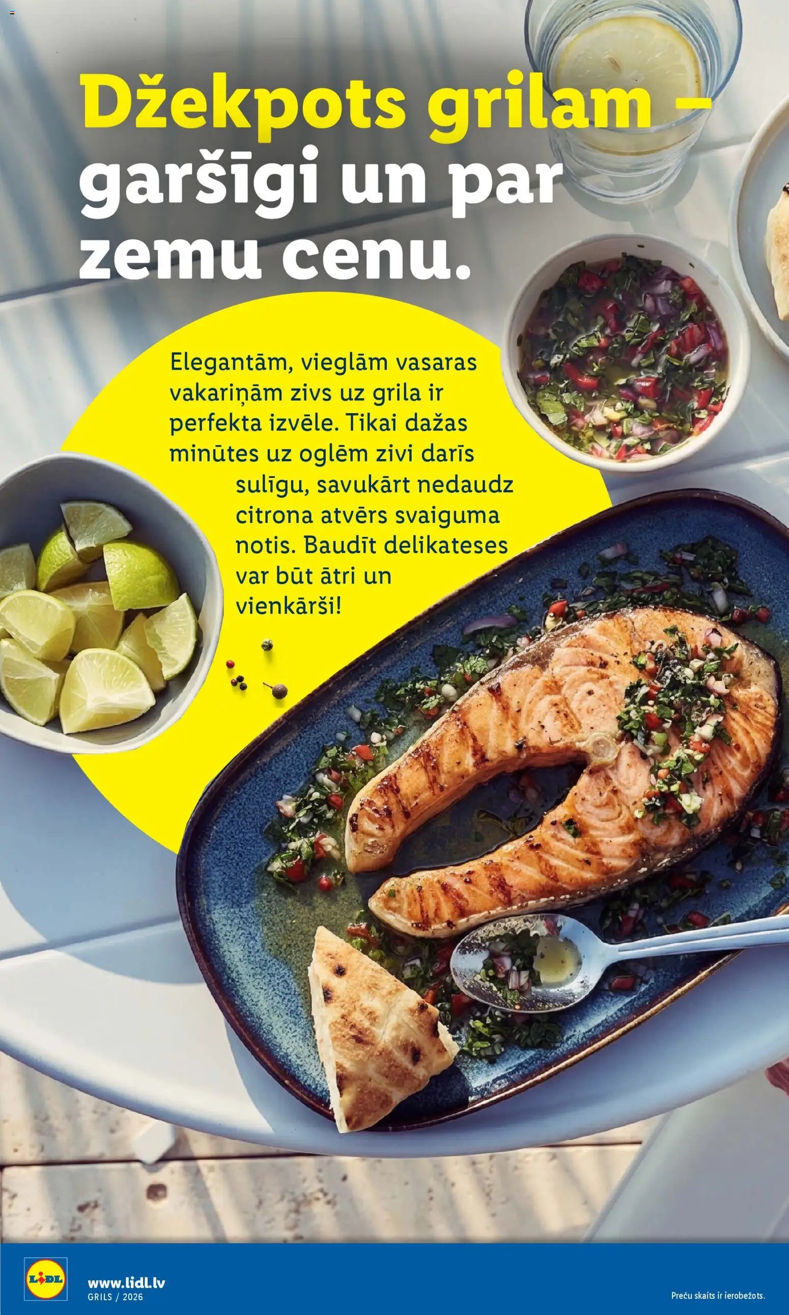 Lidl - Grila katalogs