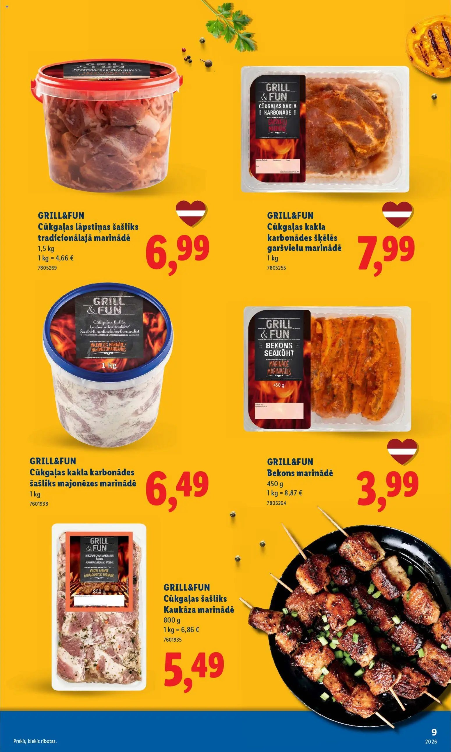 Lidl - Grila katalogs