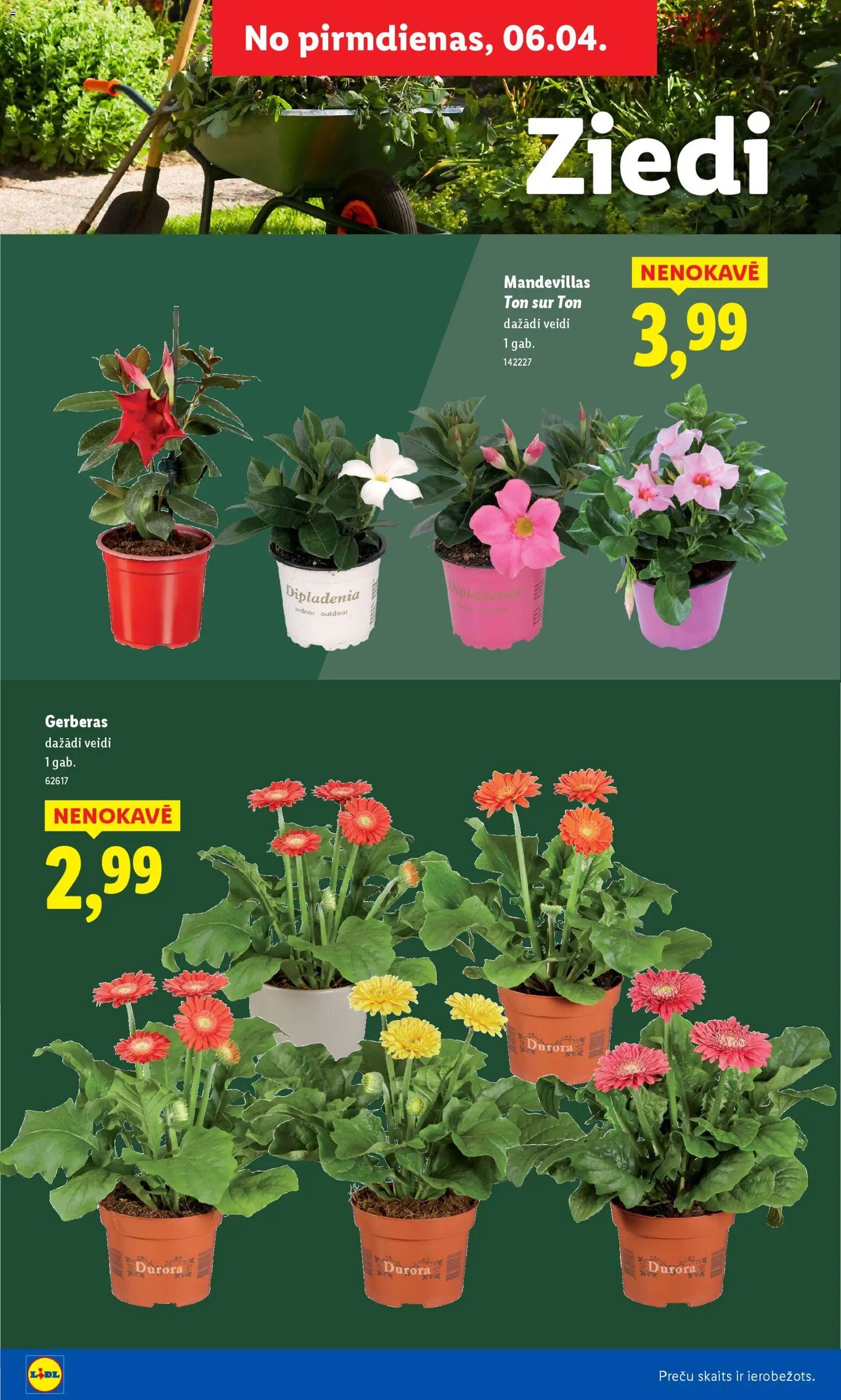 Lidl - Lai dārzs zaļo