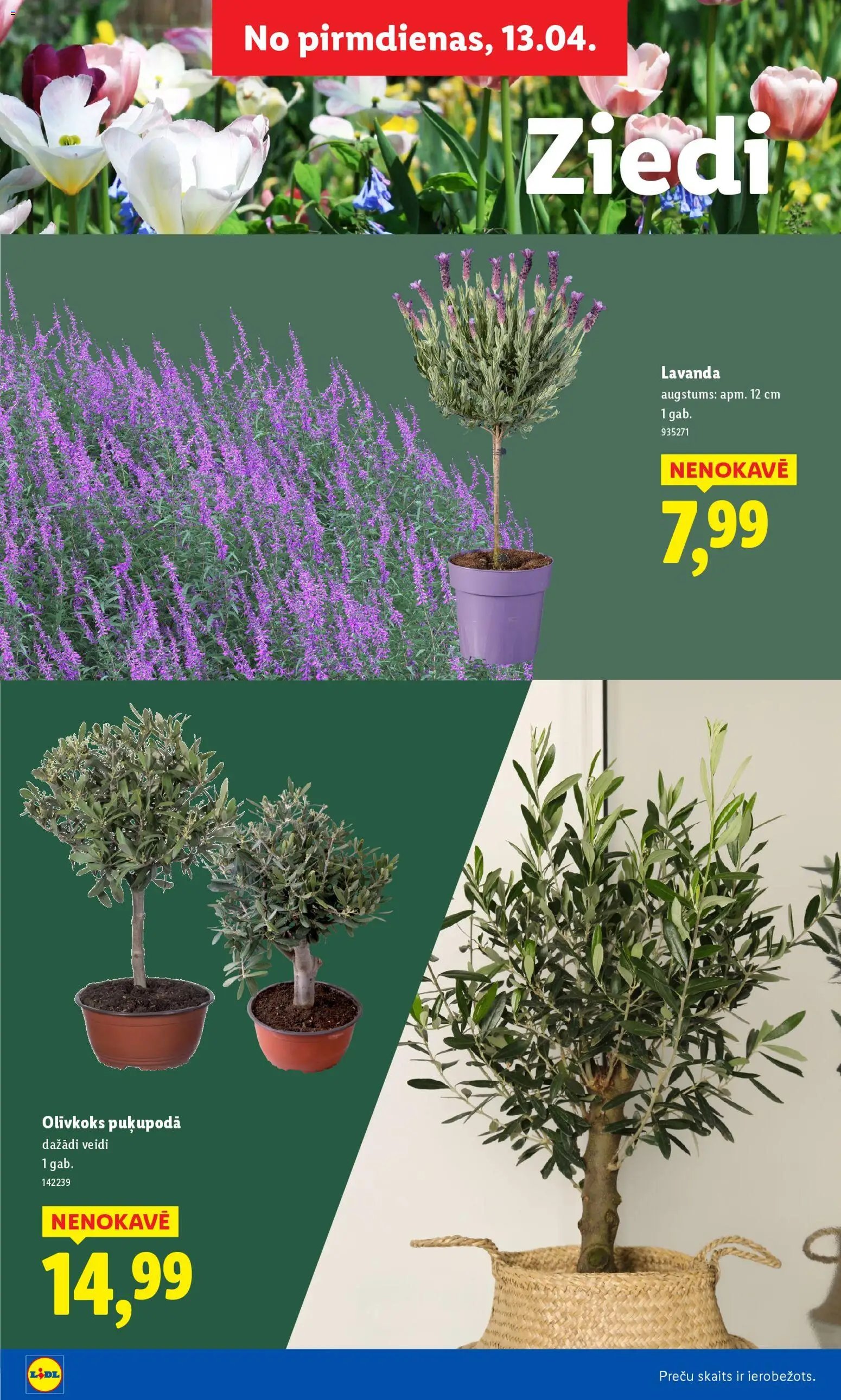 Lidl - Lai dārzs zaļo