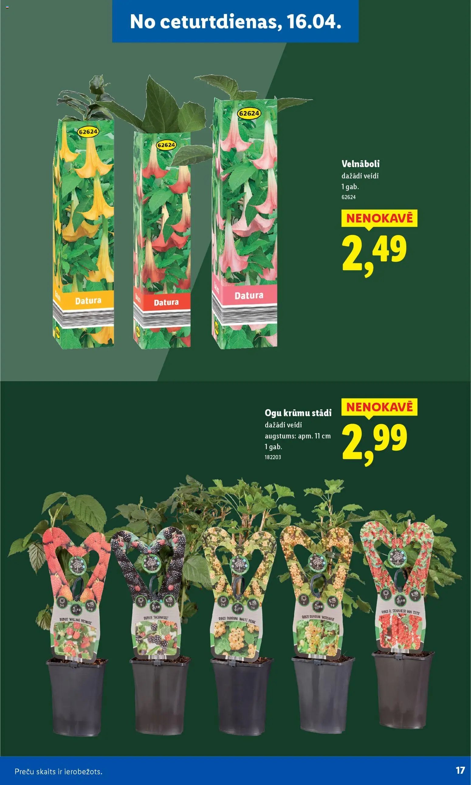 Lidl - Lai dārzs zaļo