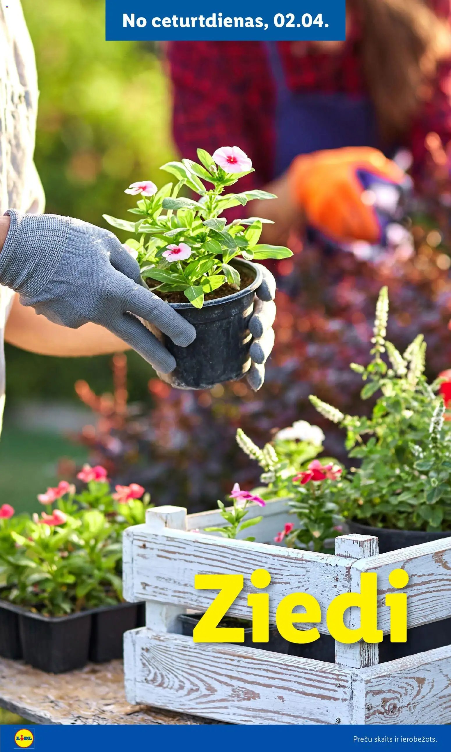 Lidl - Lai dārzs zaļo