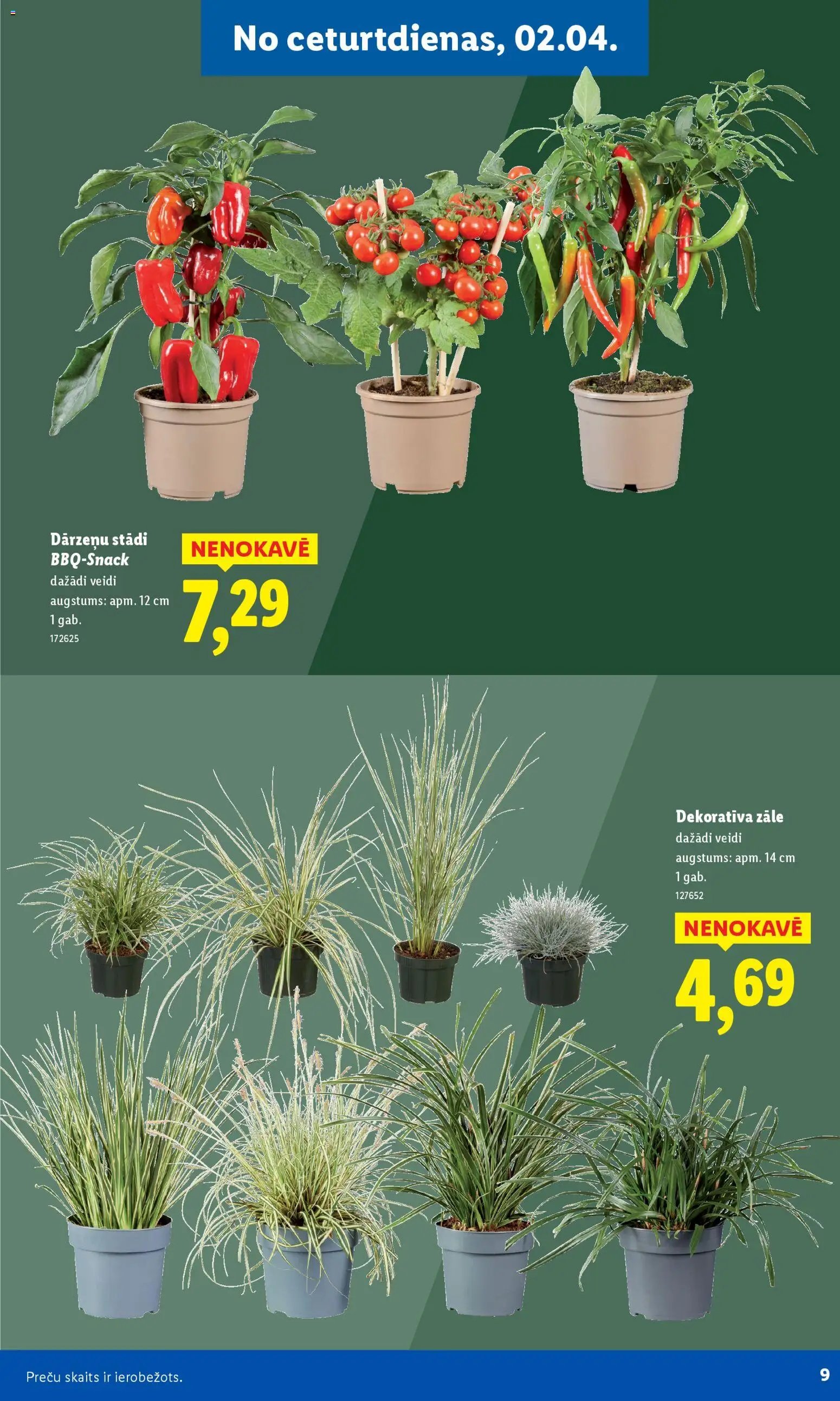 Lidl - Lai dārzs zaļo