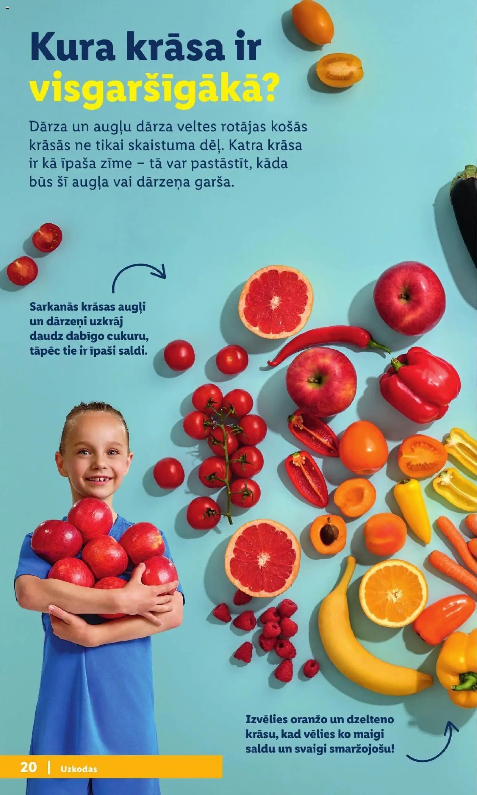 Lidl - Atpakaļ uz skolu