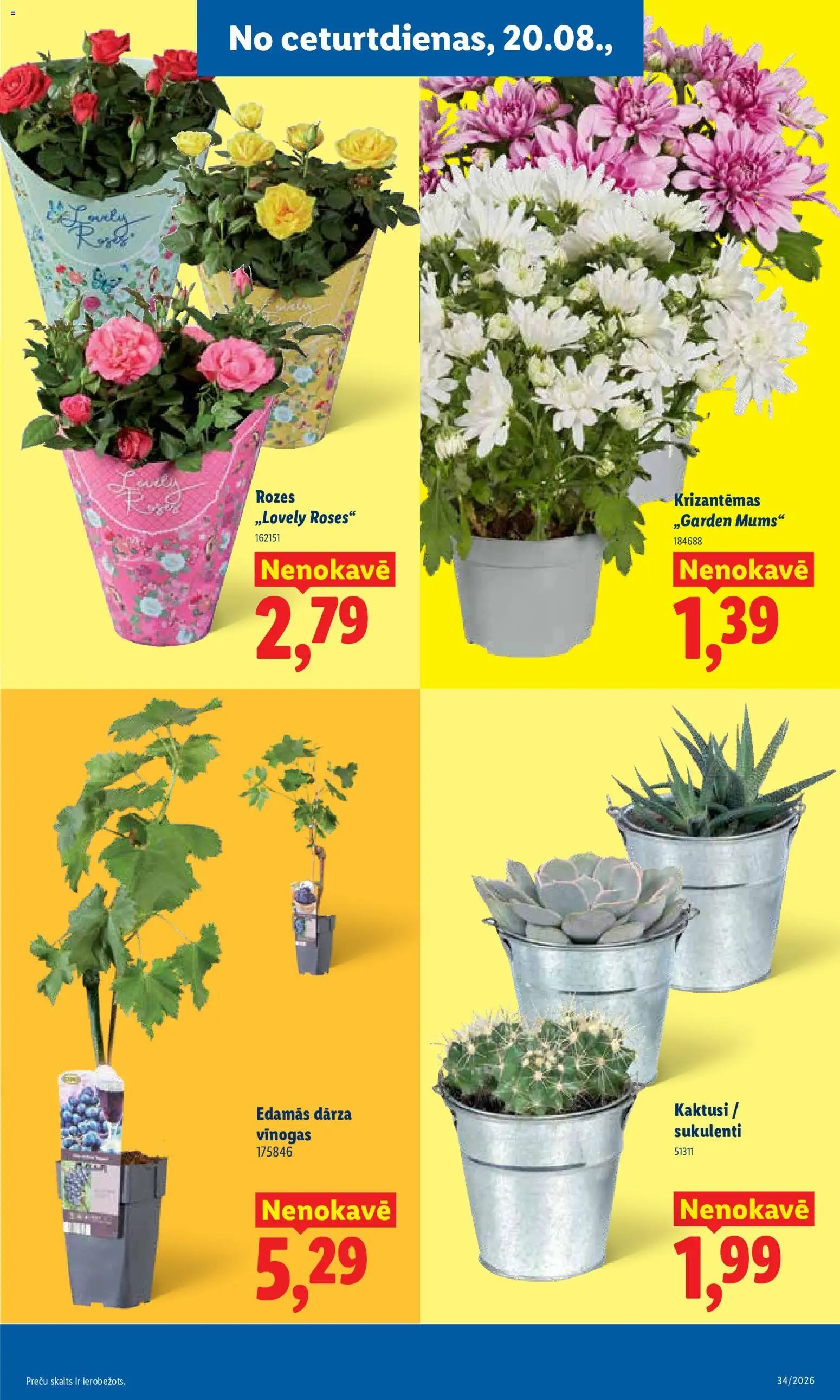 Lidl Akciju buklets