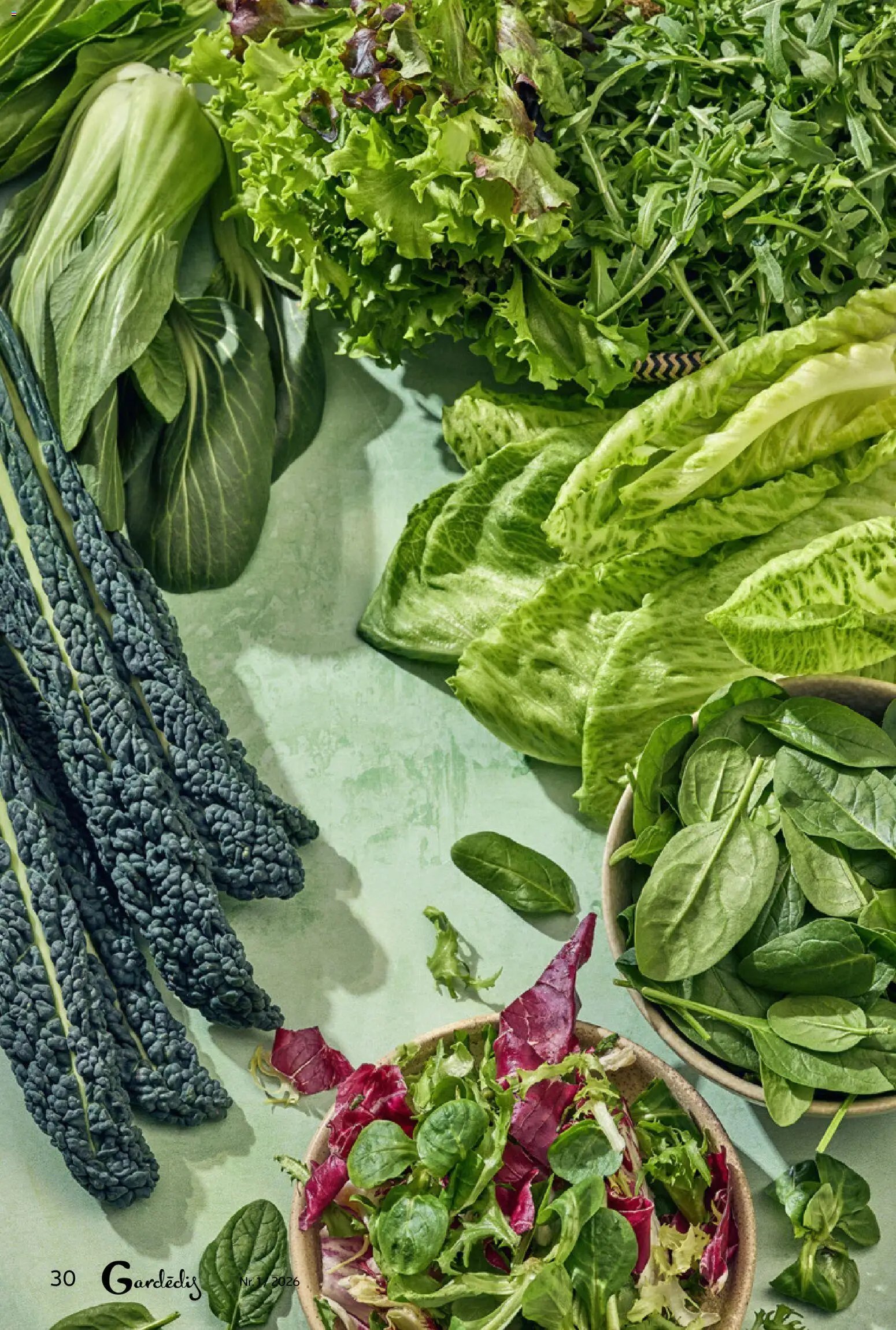 Rimi - Gardedis Pavasara garsas 2026