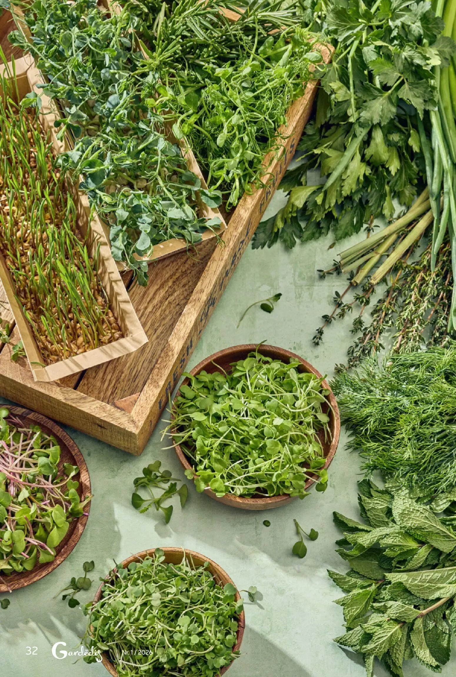 Rimi - Gardedis Pavasara garsas 2026