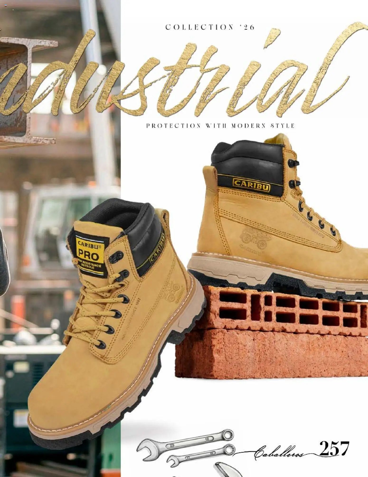 Price Shoes catálogo Caballeros