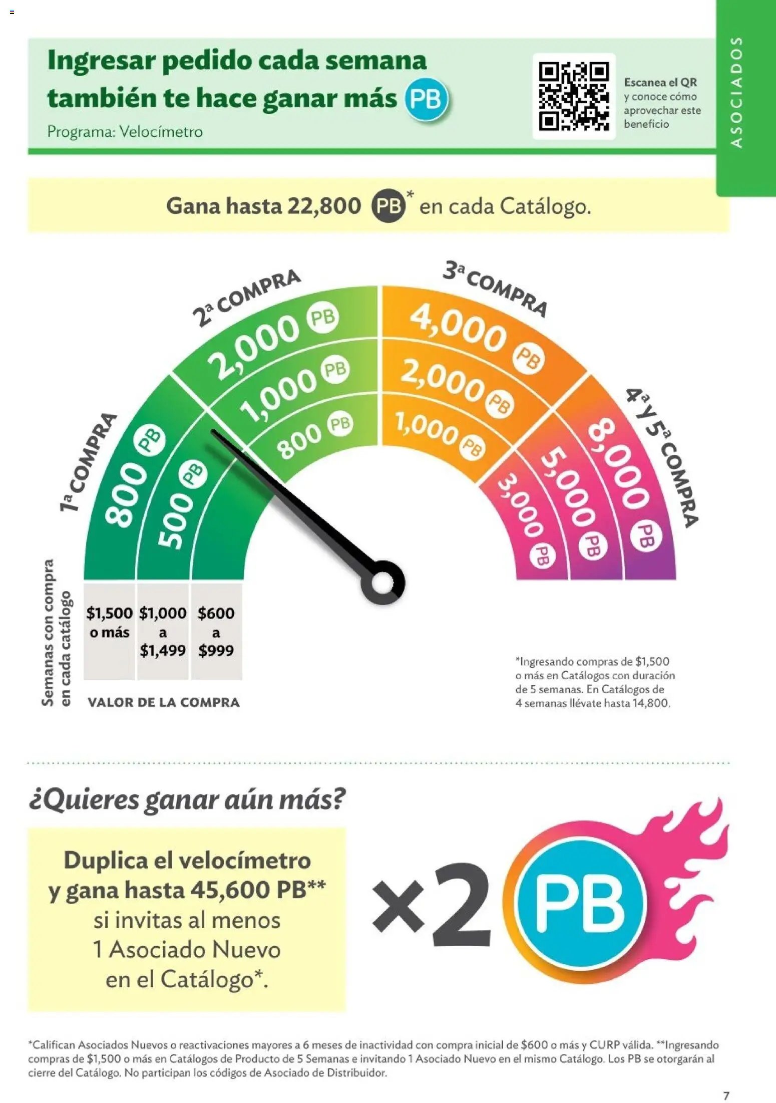 Betterware catálogo Oportunidades