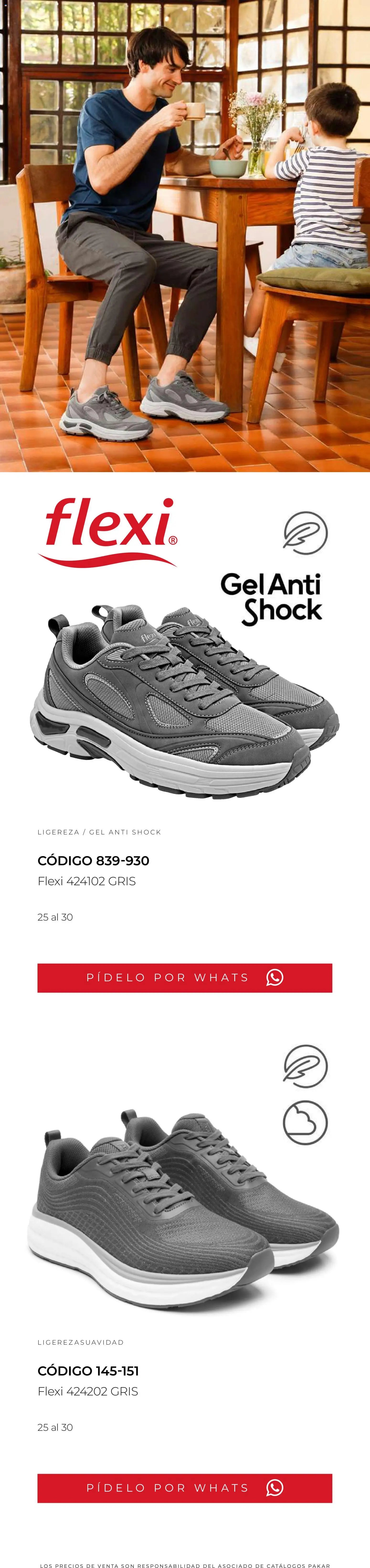 SC Pakar catálogo Flexi PV26