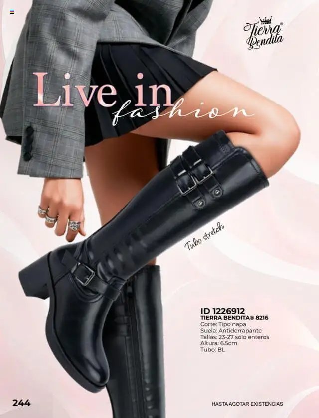Price Shoes - Catálogo Botas para Dama
