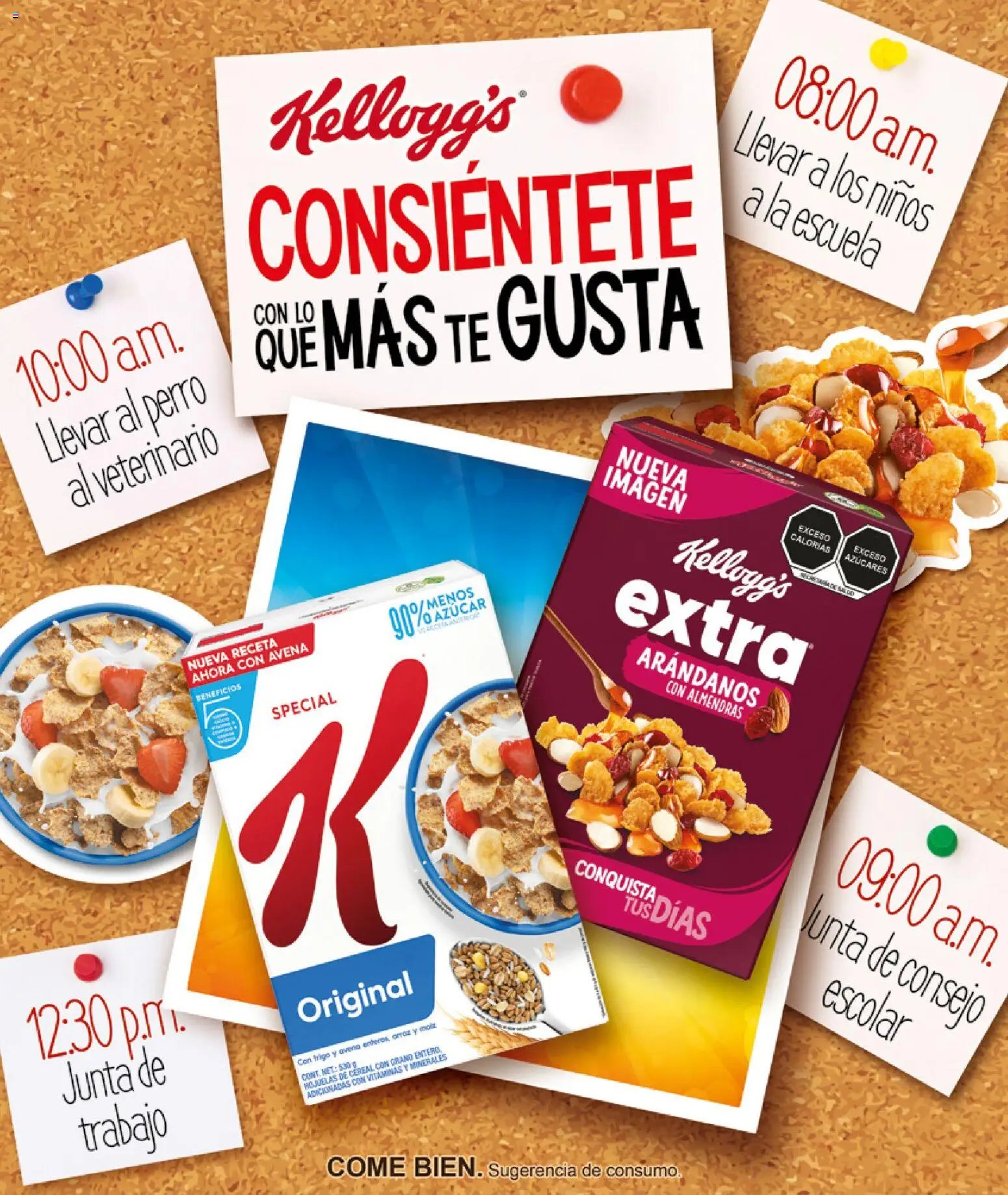 H-E-B folleto Celebra