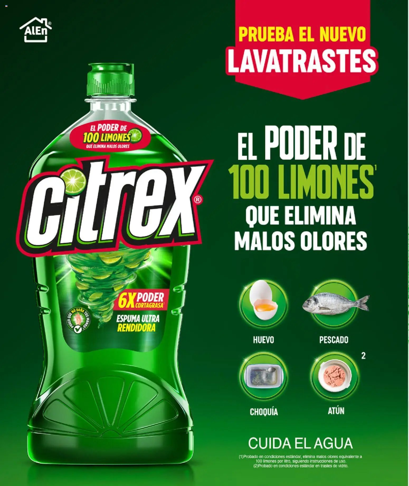H-E-B folleto Celebra
