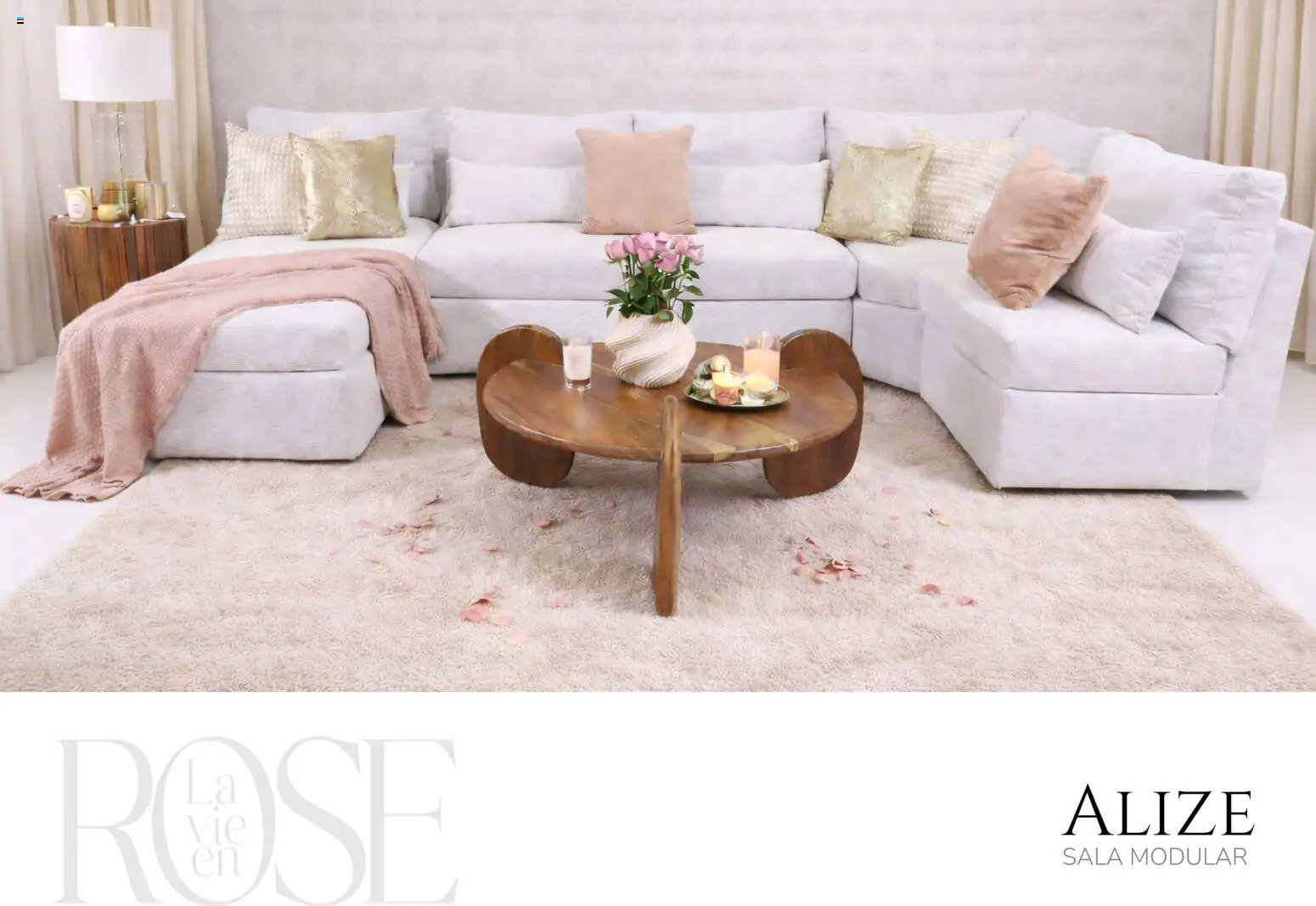 Muebles Dico catálogo La Vie en Rose 2026 