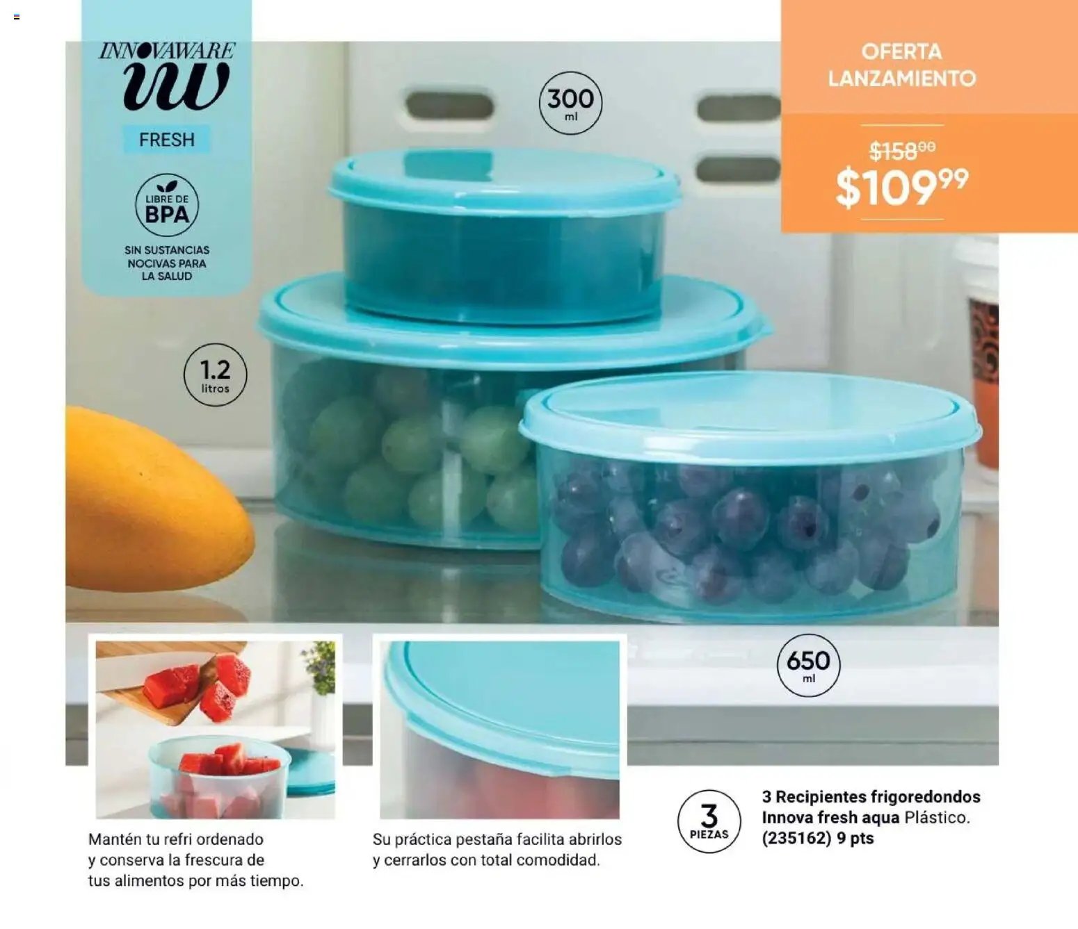 AVON Casa & Estilo 10 2026