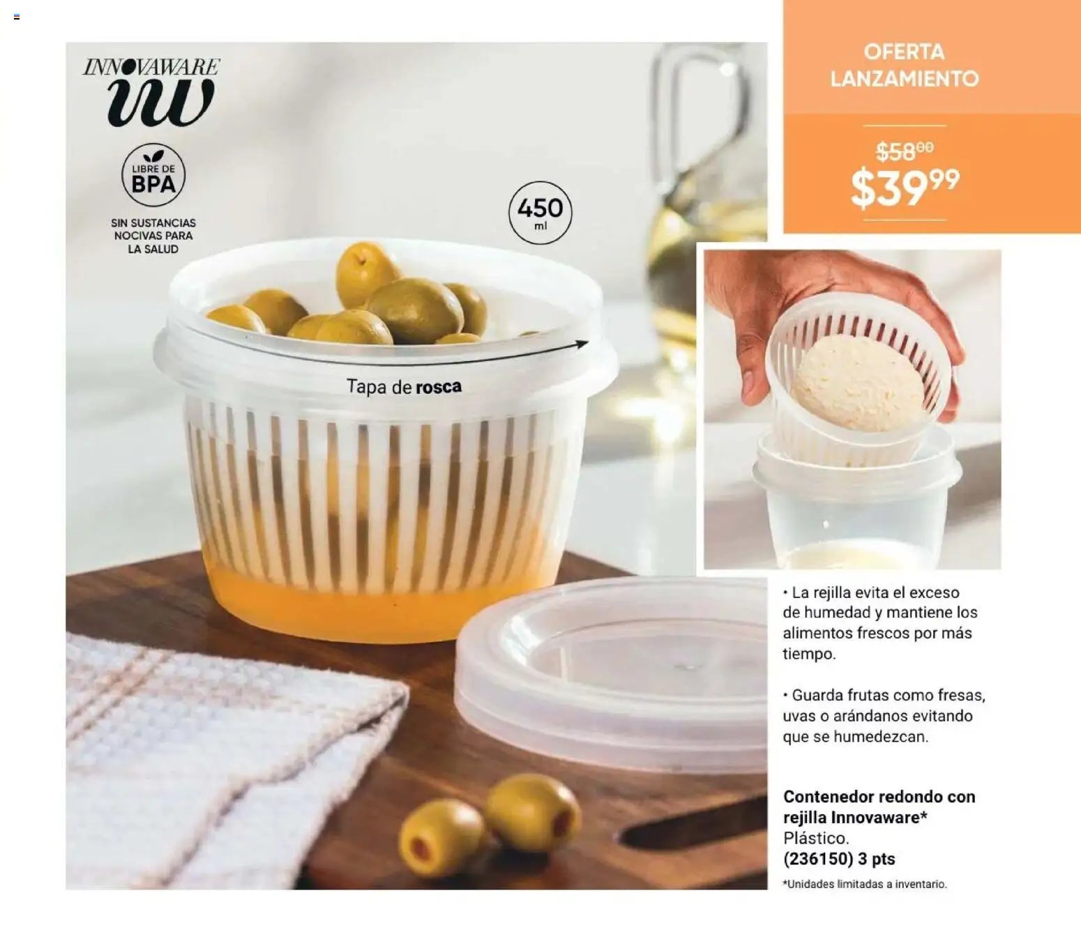 AVON Casa & Estilo 10 2026