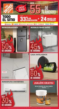 Home Depot Hot Sale
