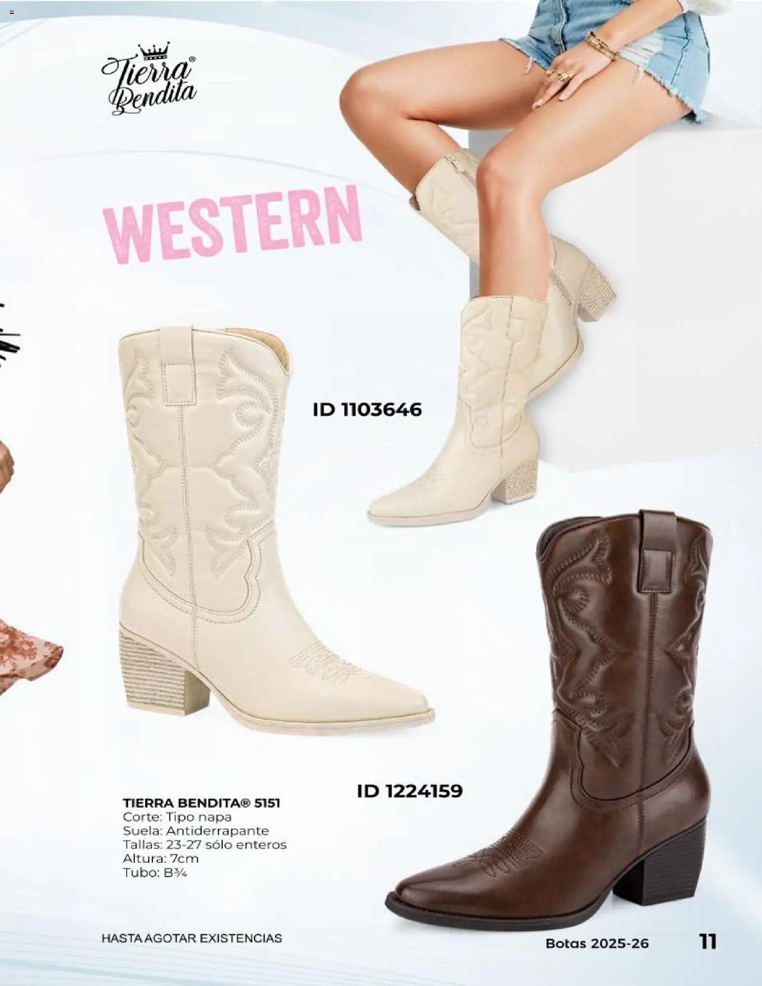 Price Shoes catálogo Botas