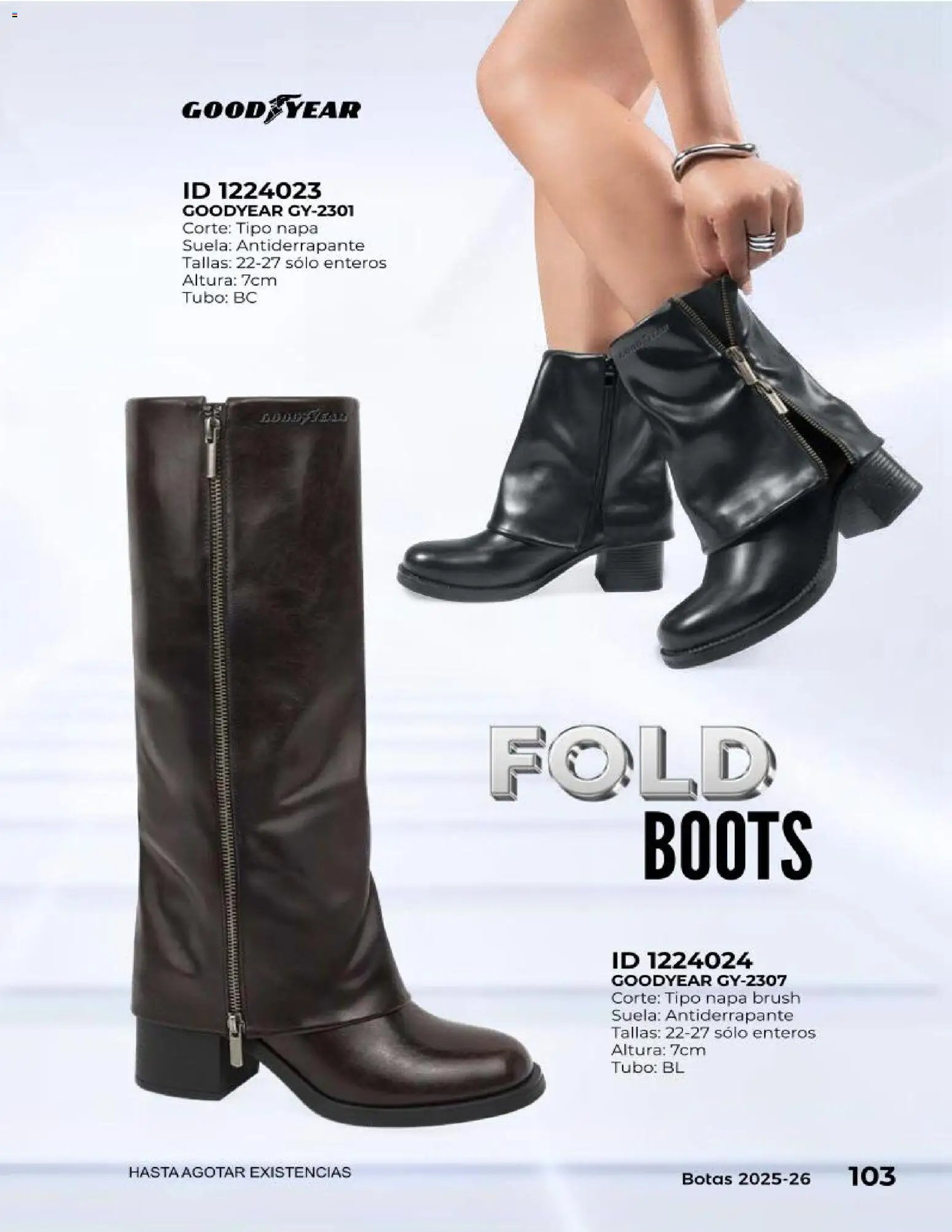 Price Shoes catálogo Botas