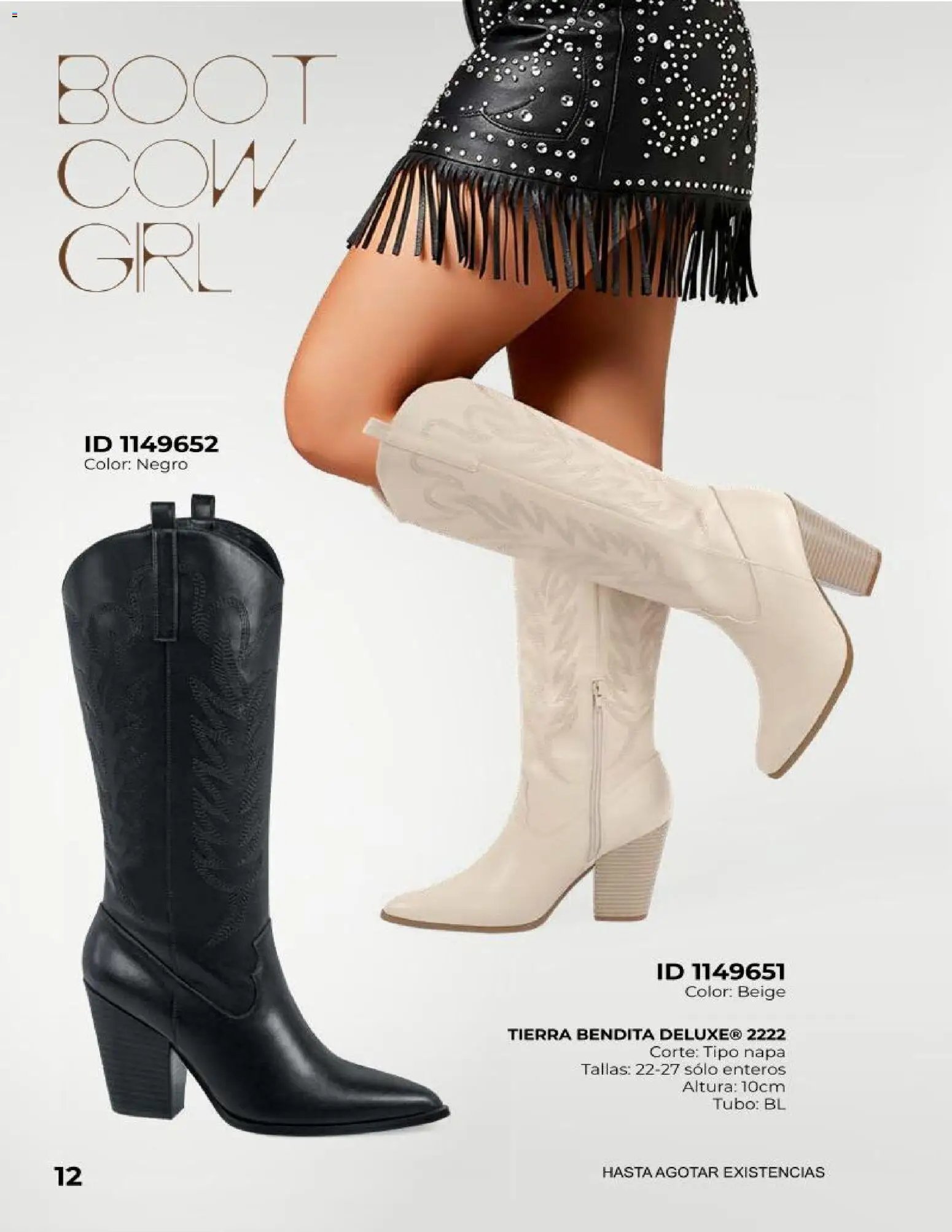 Price Shoes catálogo Botas