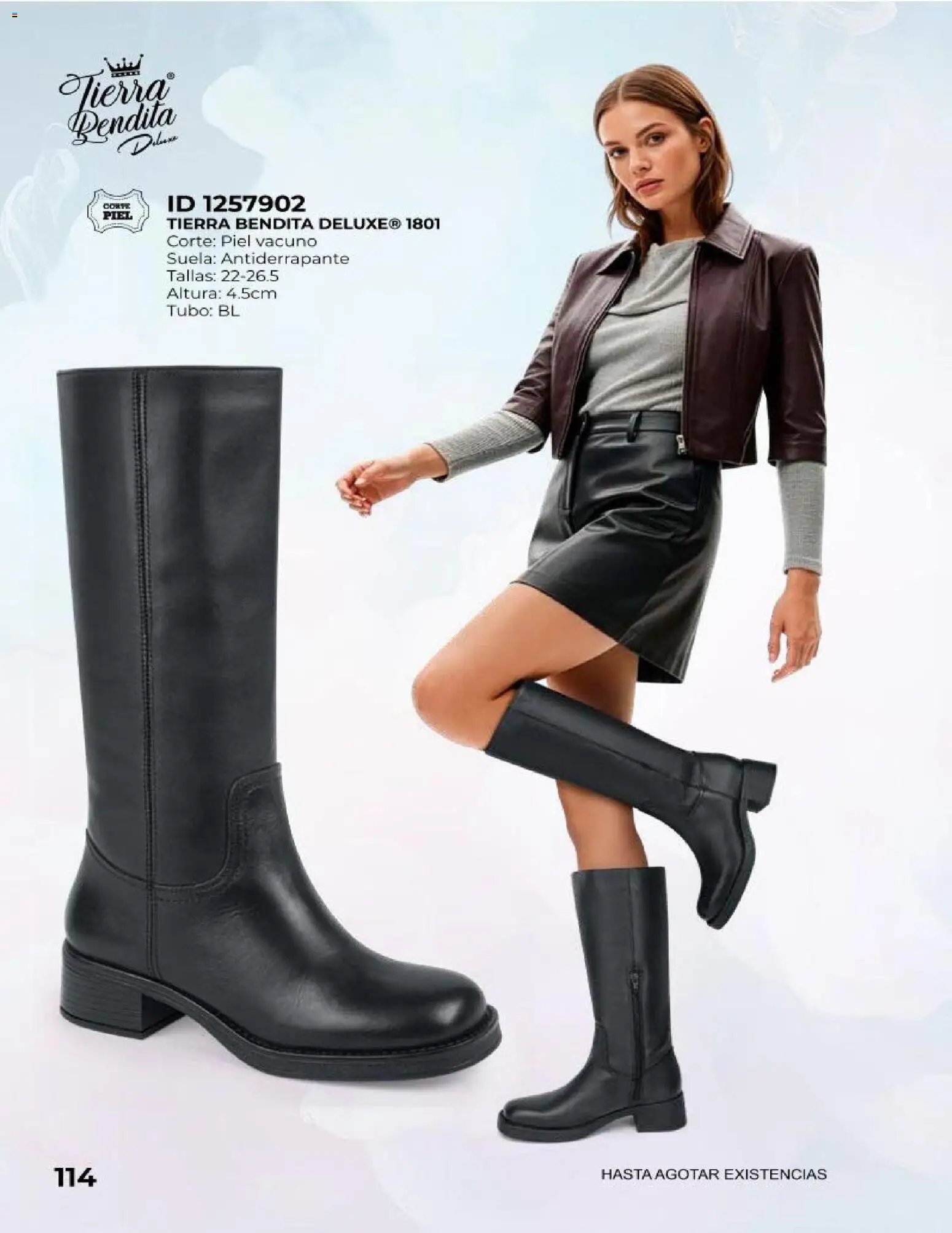 Price Shoes catálogo Botas