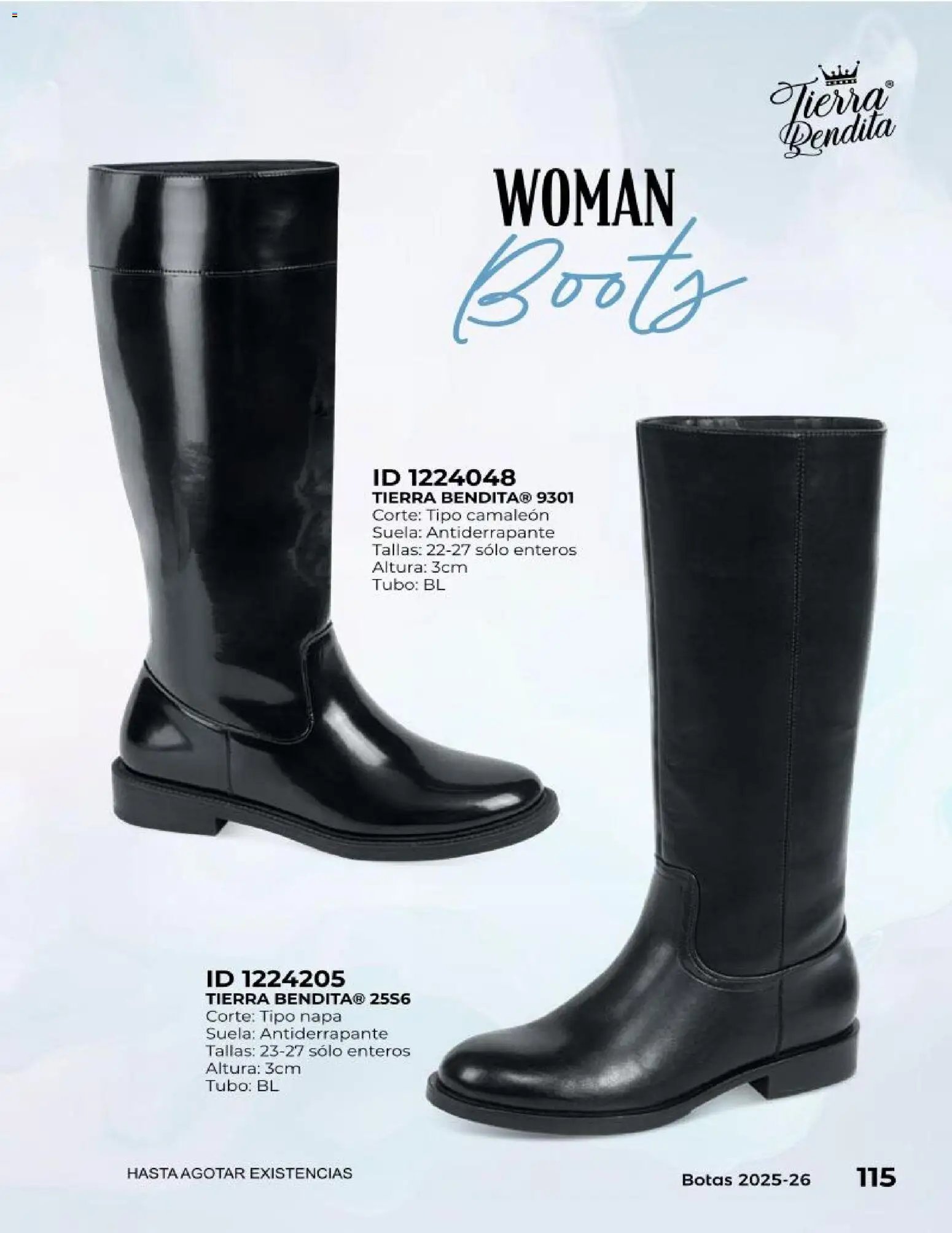 Price Shoes catálogo Botas
