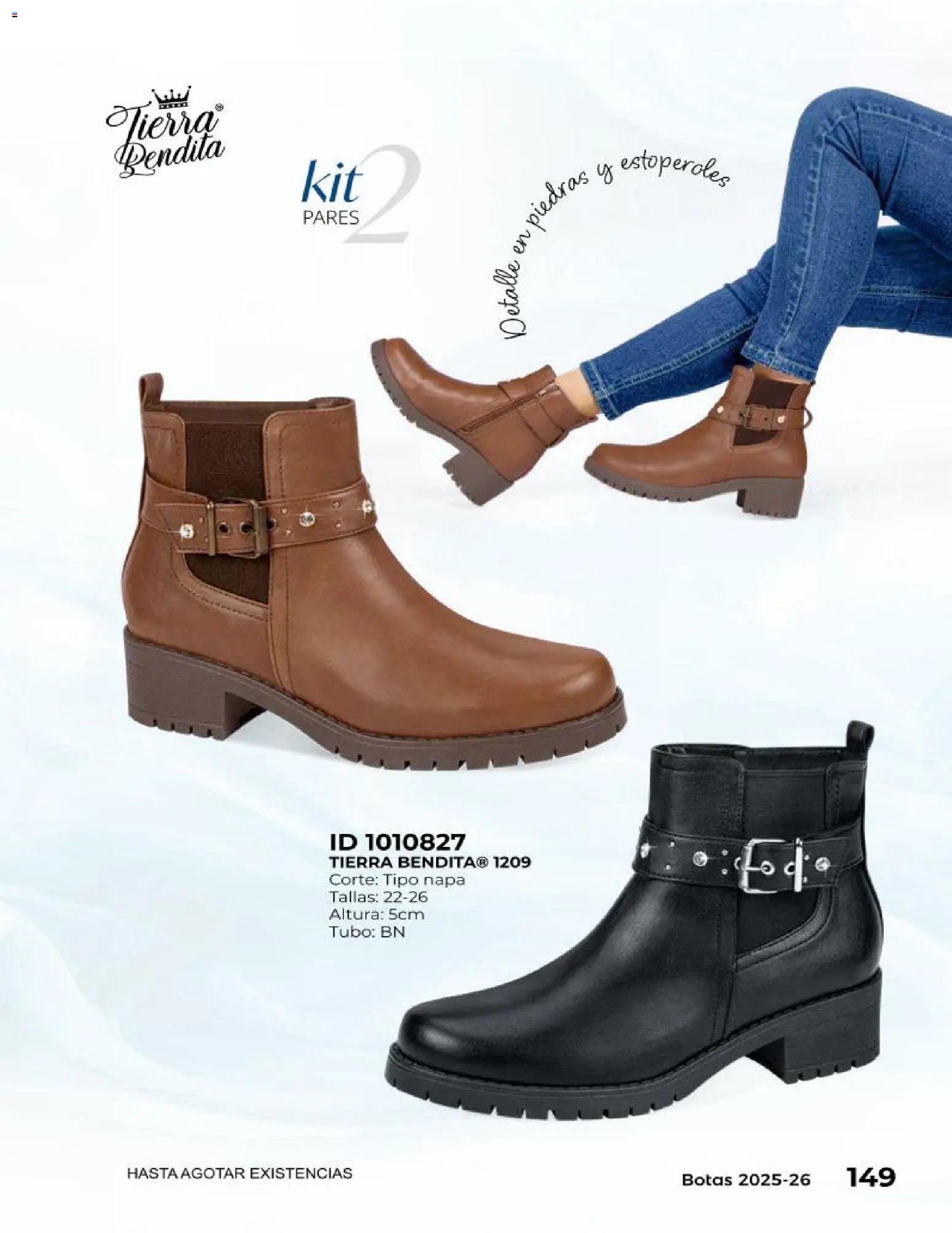 Price Shoes catálogo Botas
