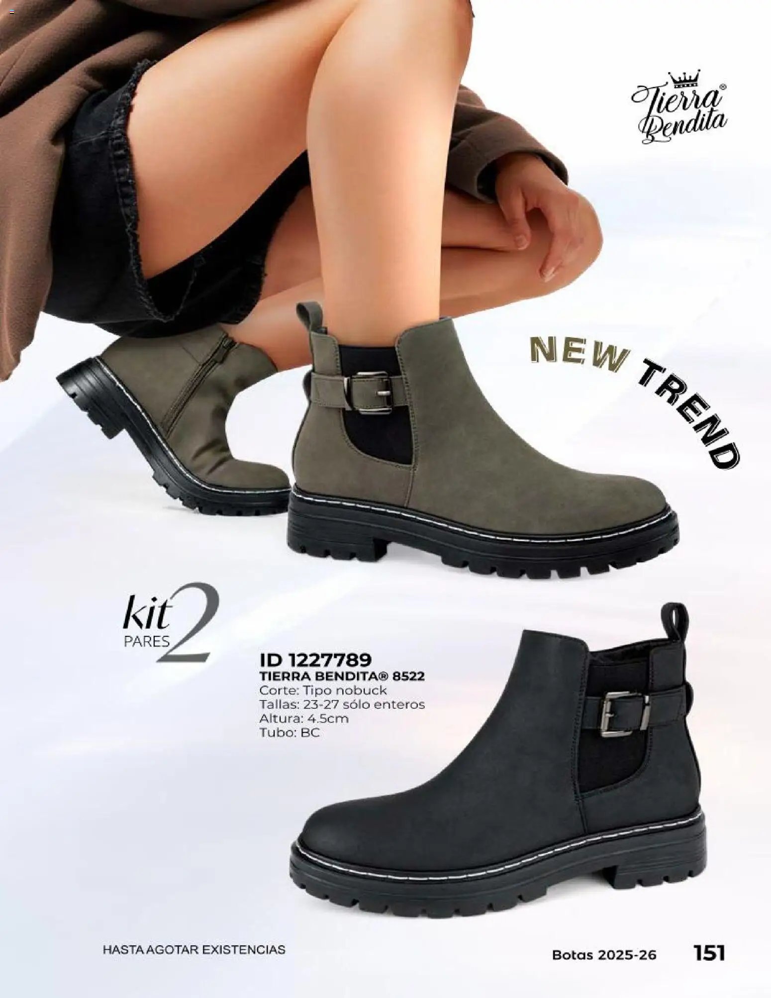 Price Shoes catálogo Botas
