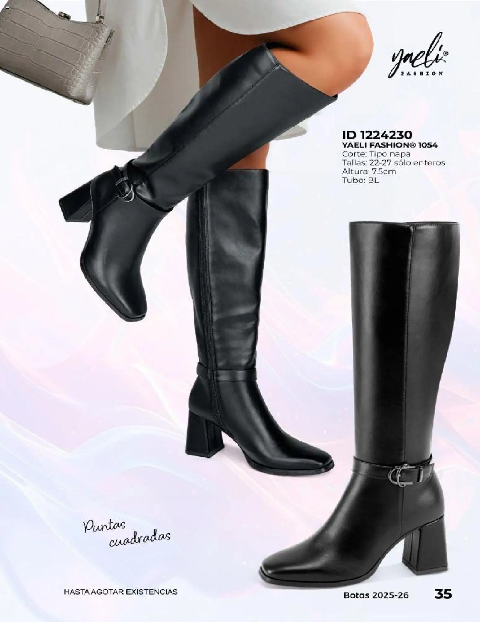 Price Shoes catálogo Botas