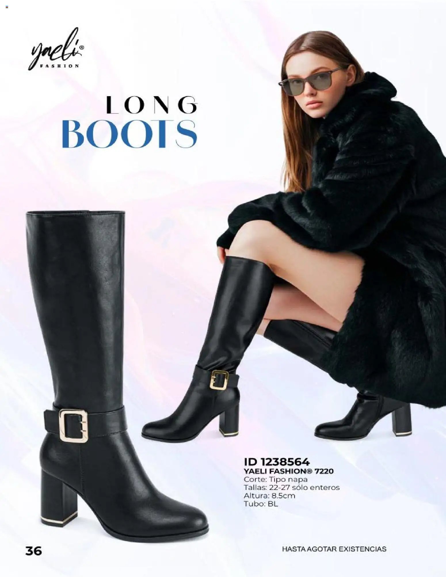 Price Shoes catálogo Botas