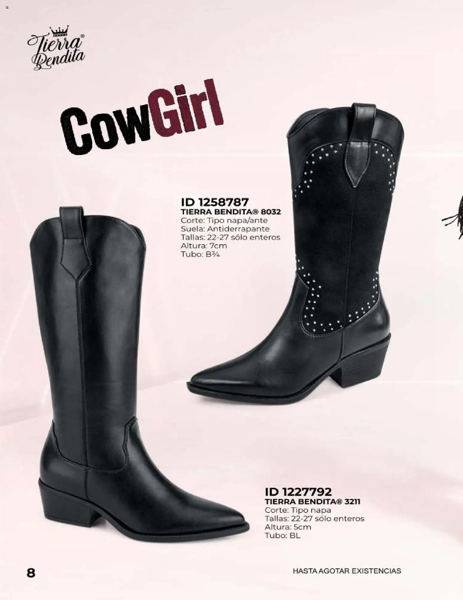 Price Shoes catálogo Botas