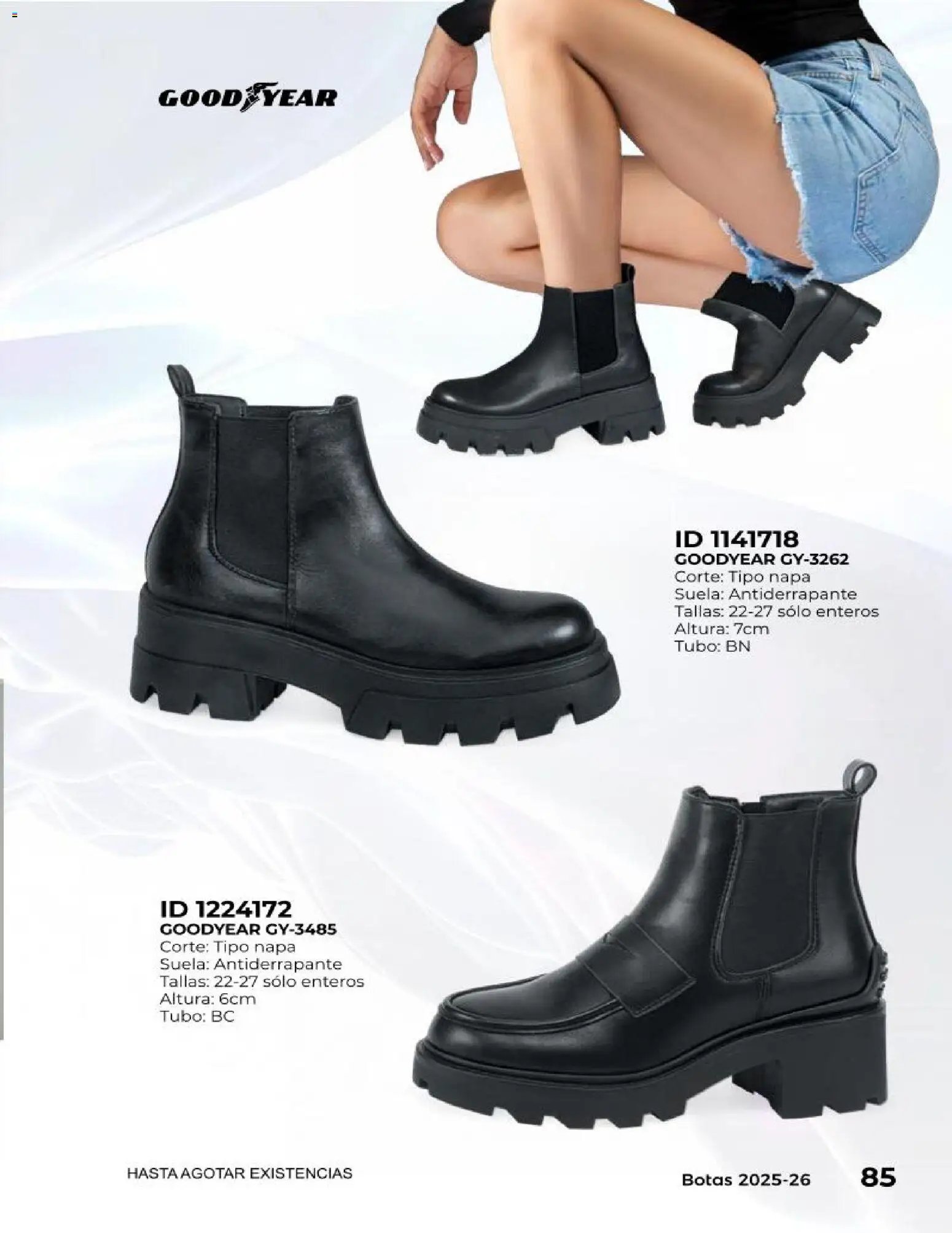 Price Shoes catálogo Botas