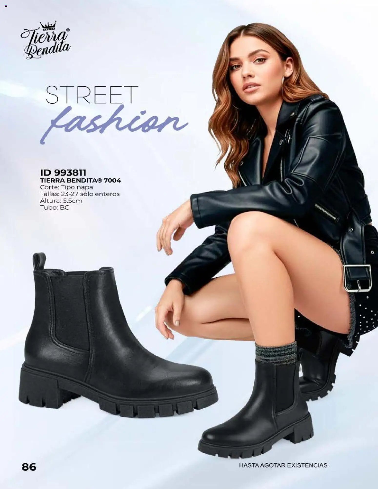 Price Shoes catálogo Botas