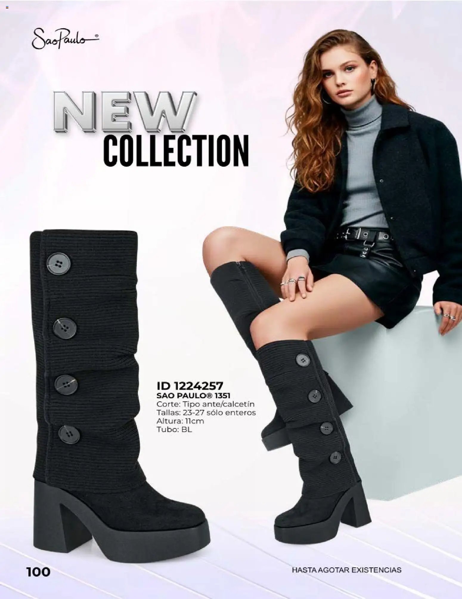 Price Shoes catálogo Botas