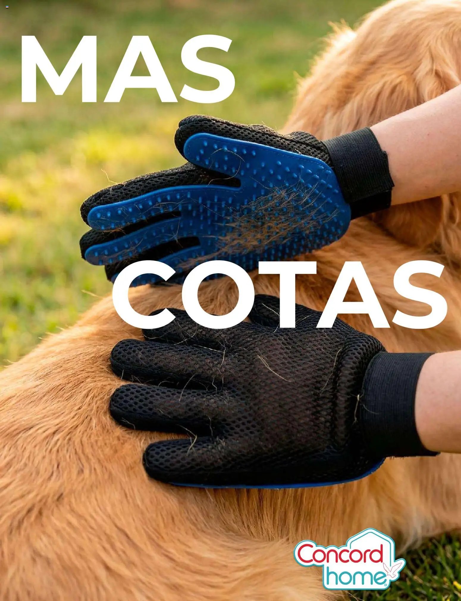 Colchas Concord catálogo Concord home