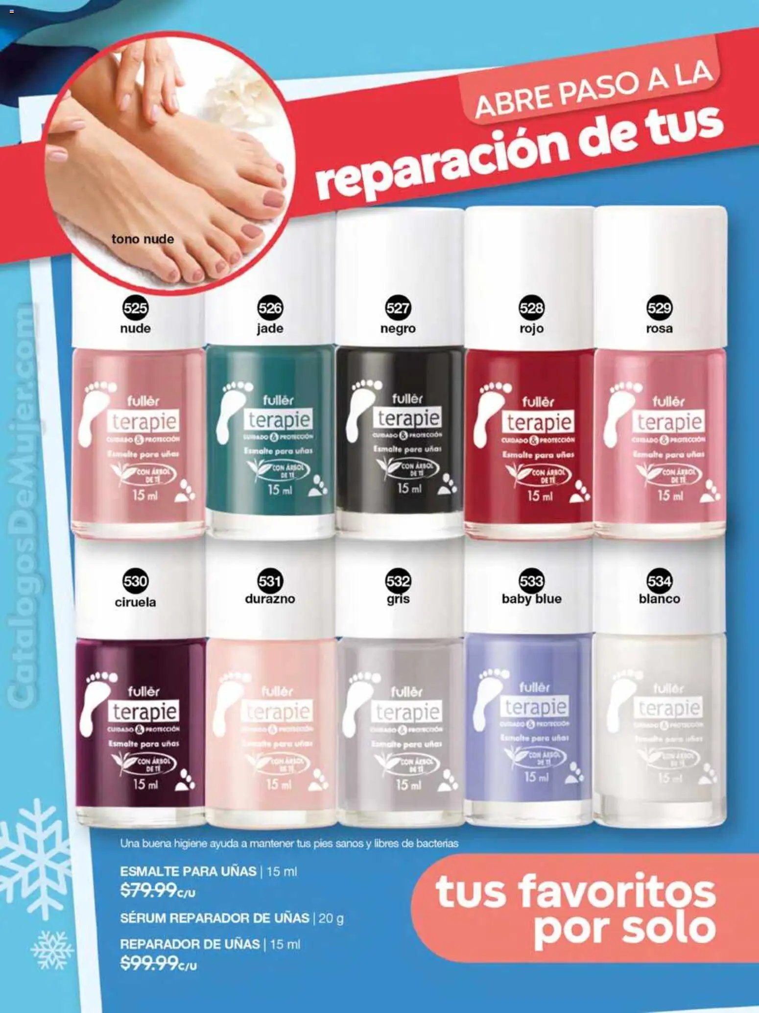 Fuller campaña 16 2025