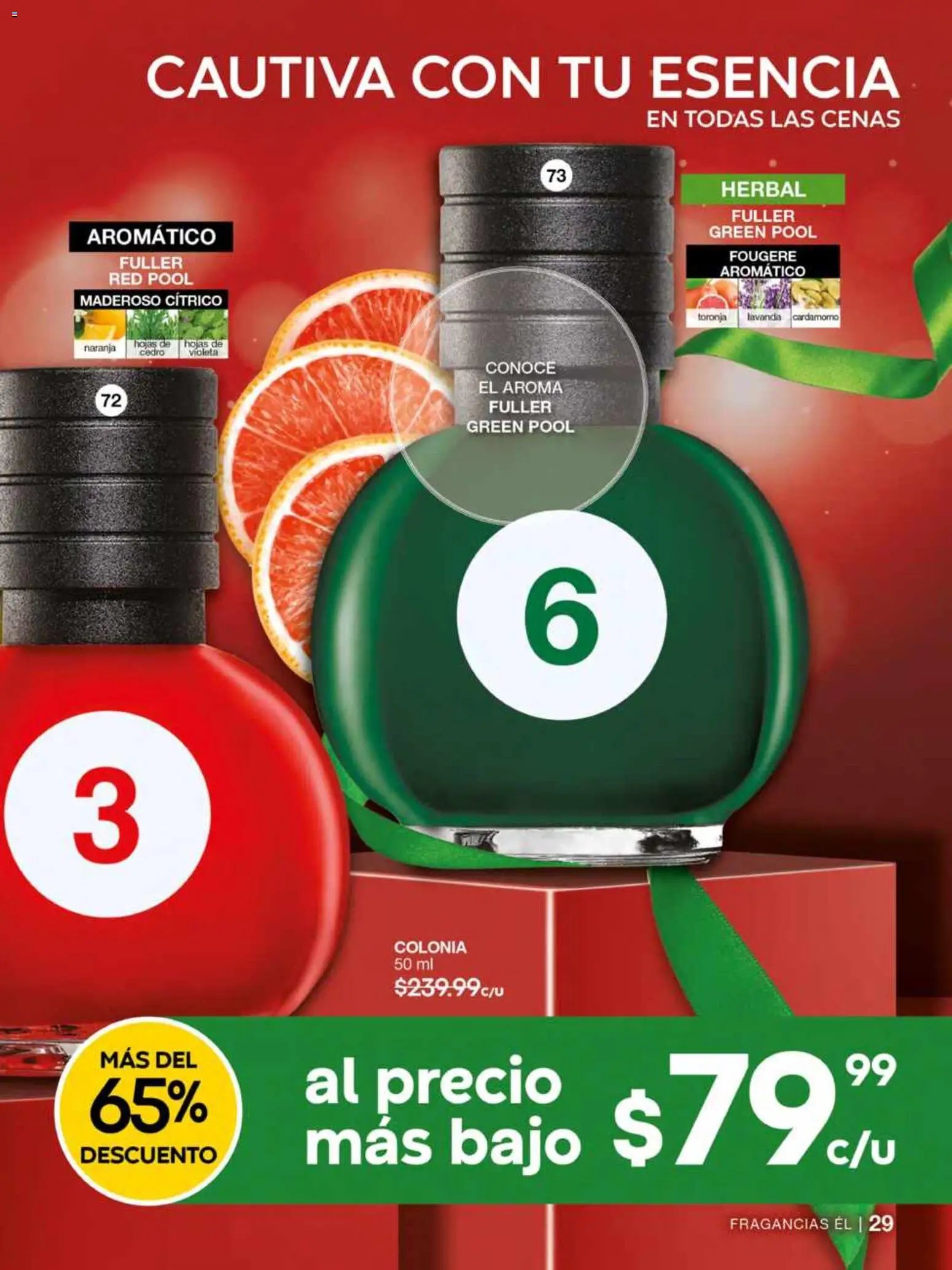 Fuller campaña 16 2025