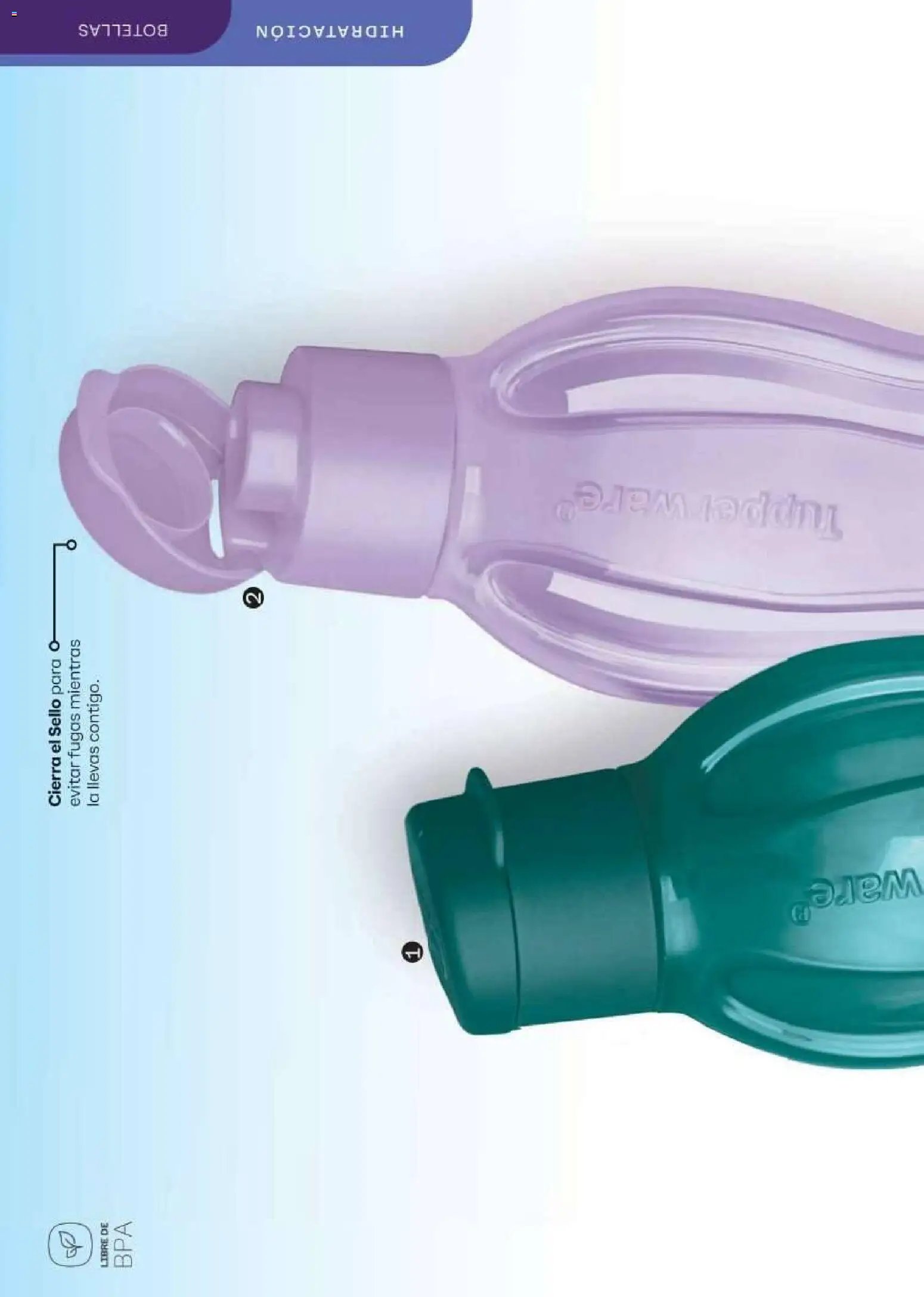Tupperware catálogo