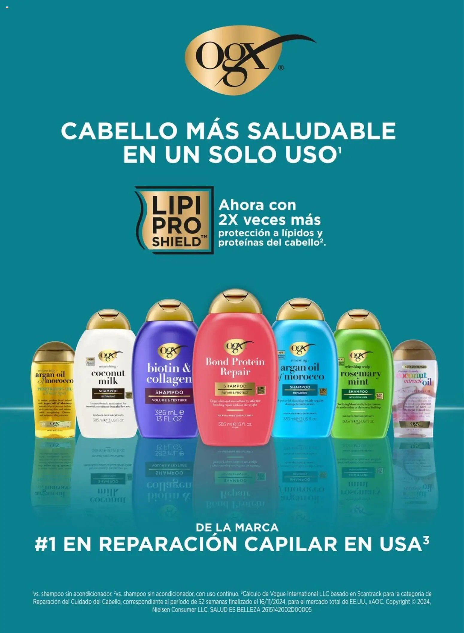 Chedraui folleto