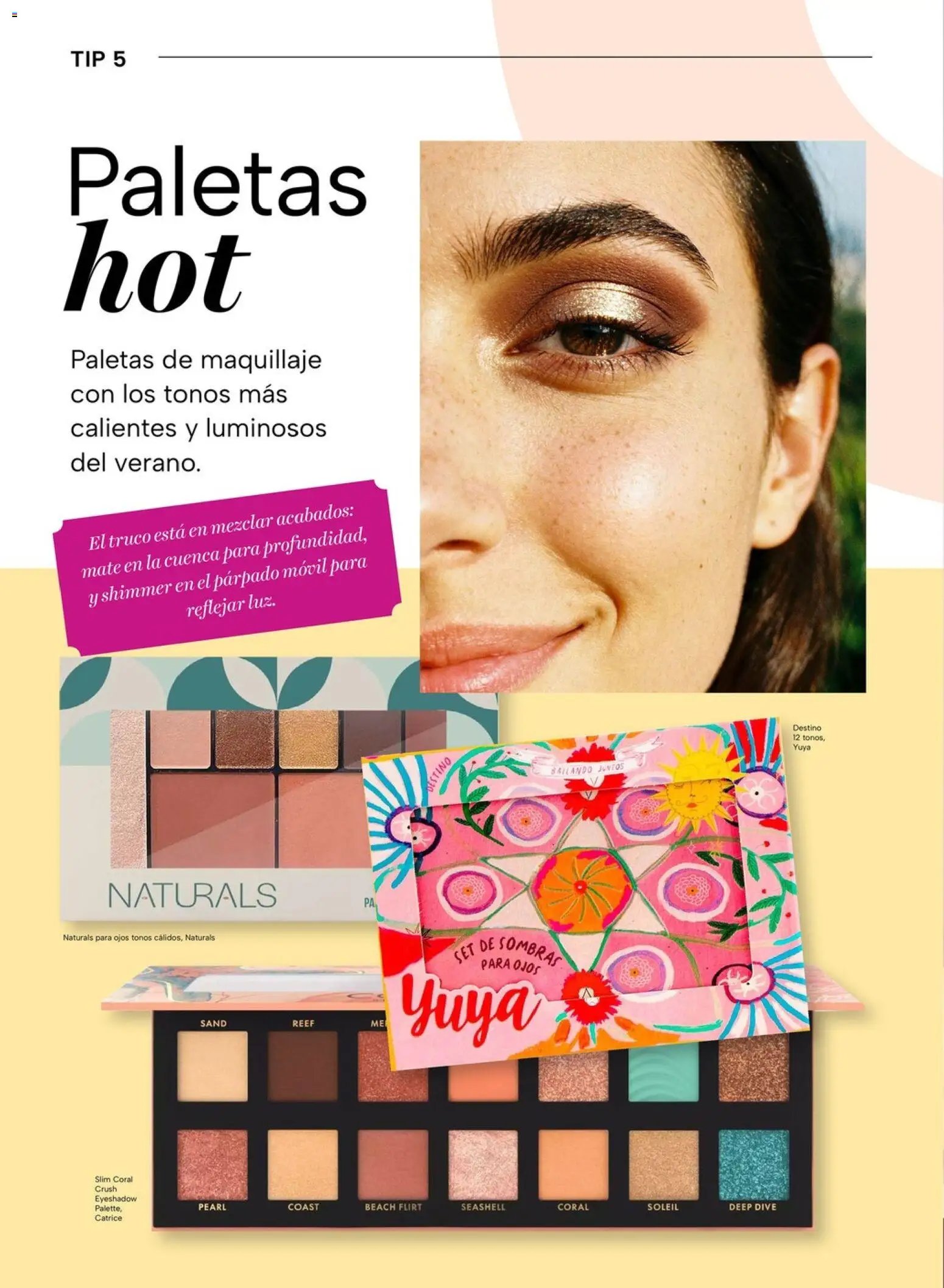 Chedraui folleto