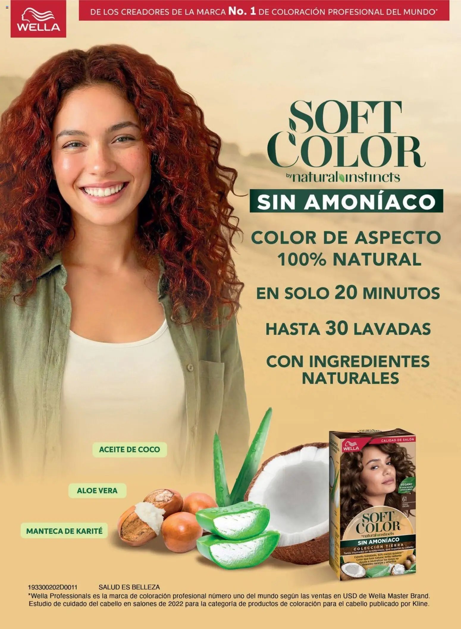Chedraui folleto