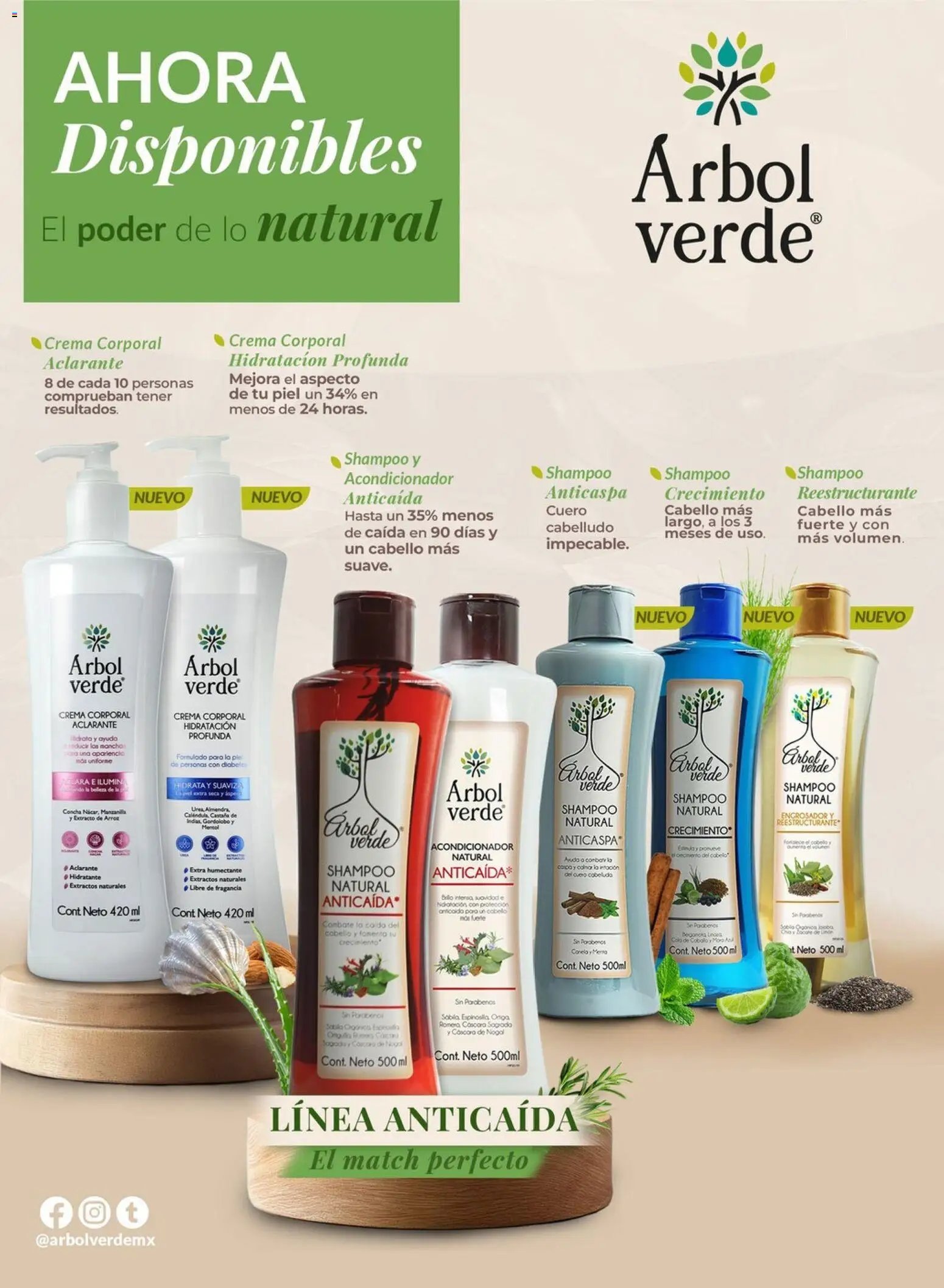 Chedraui folleto