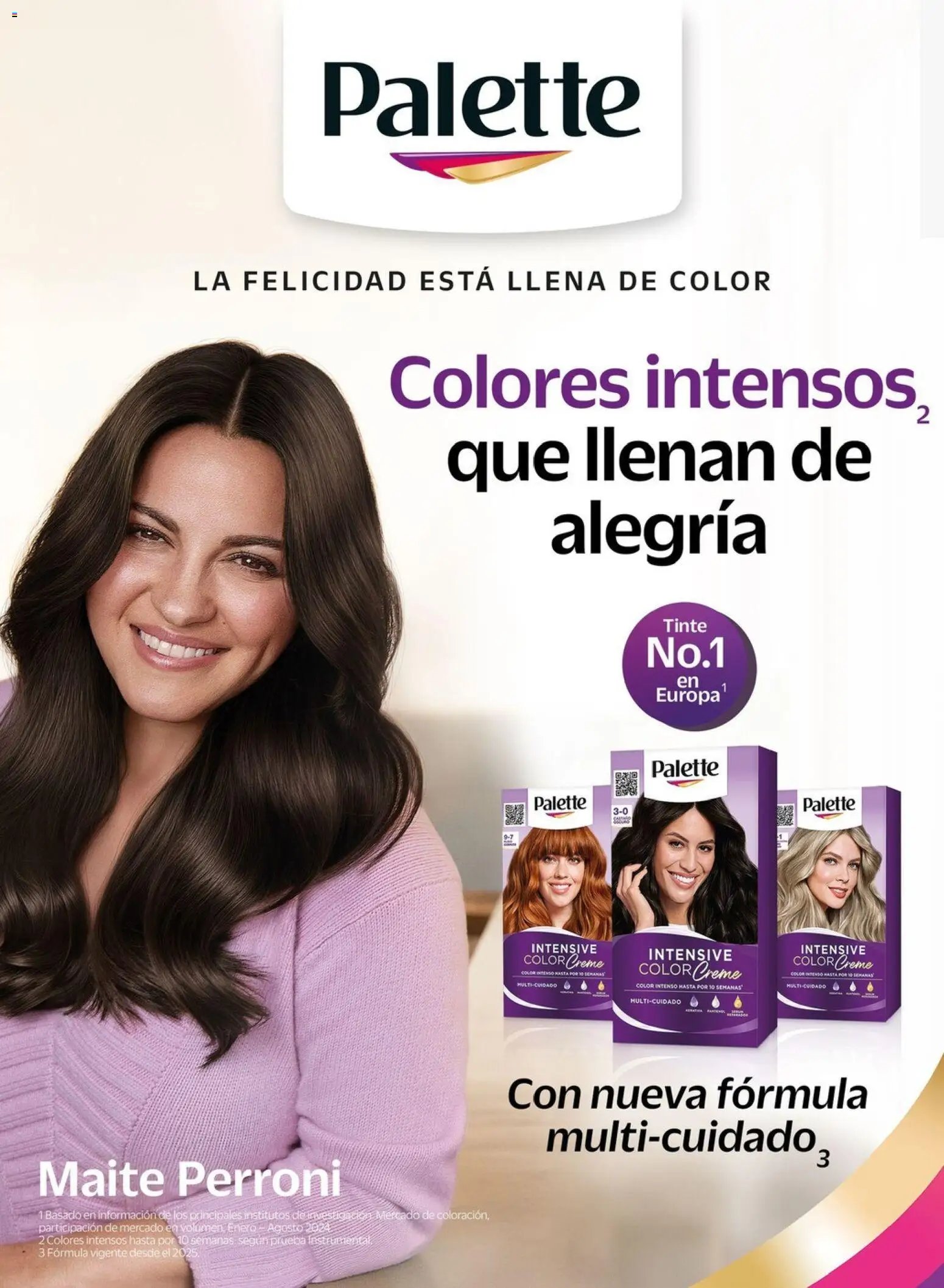 Chedraui folleto