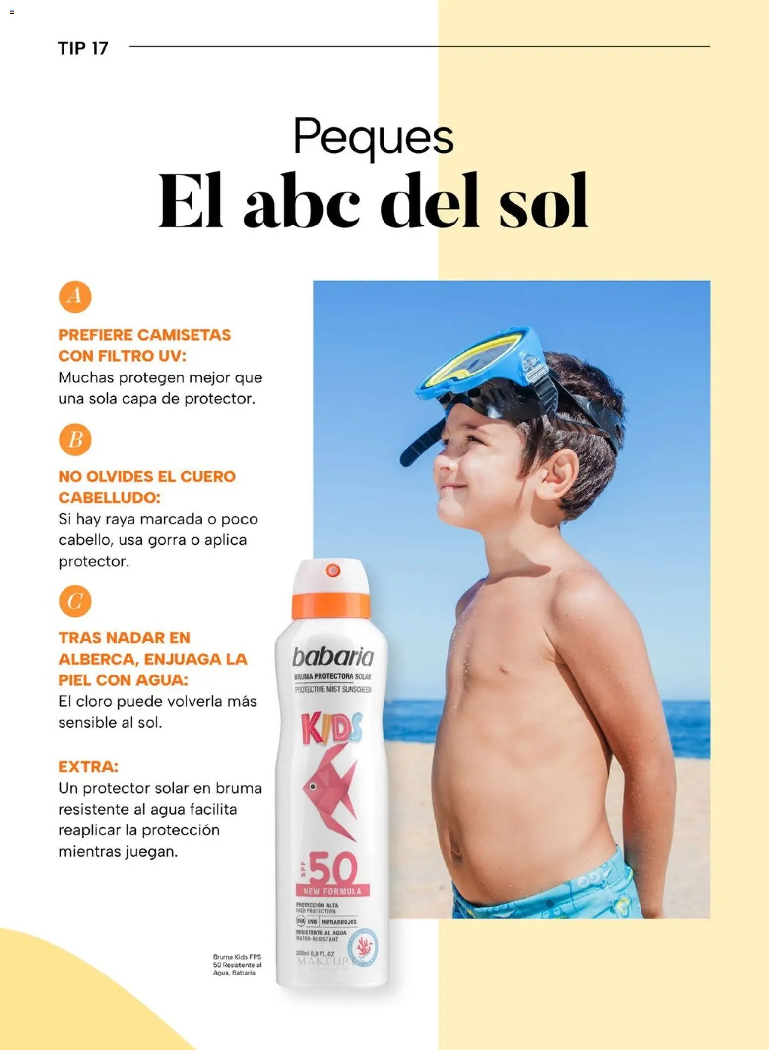 Chedraui folleto
