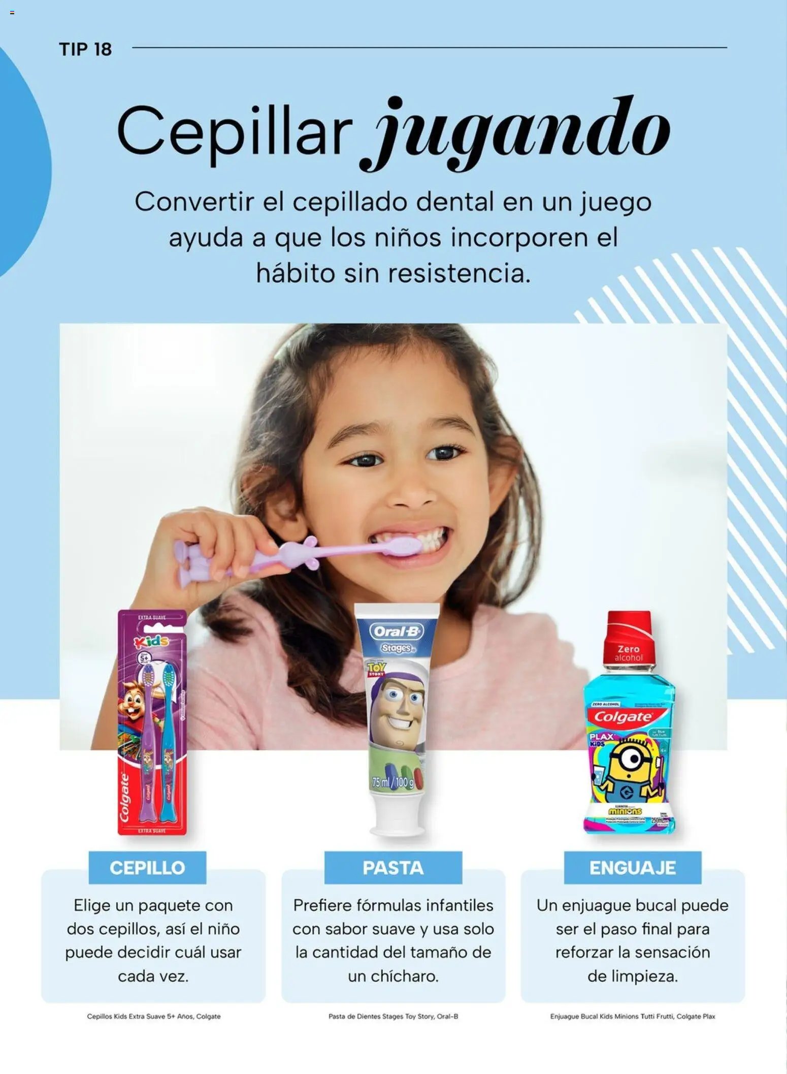 Chedraui folleto