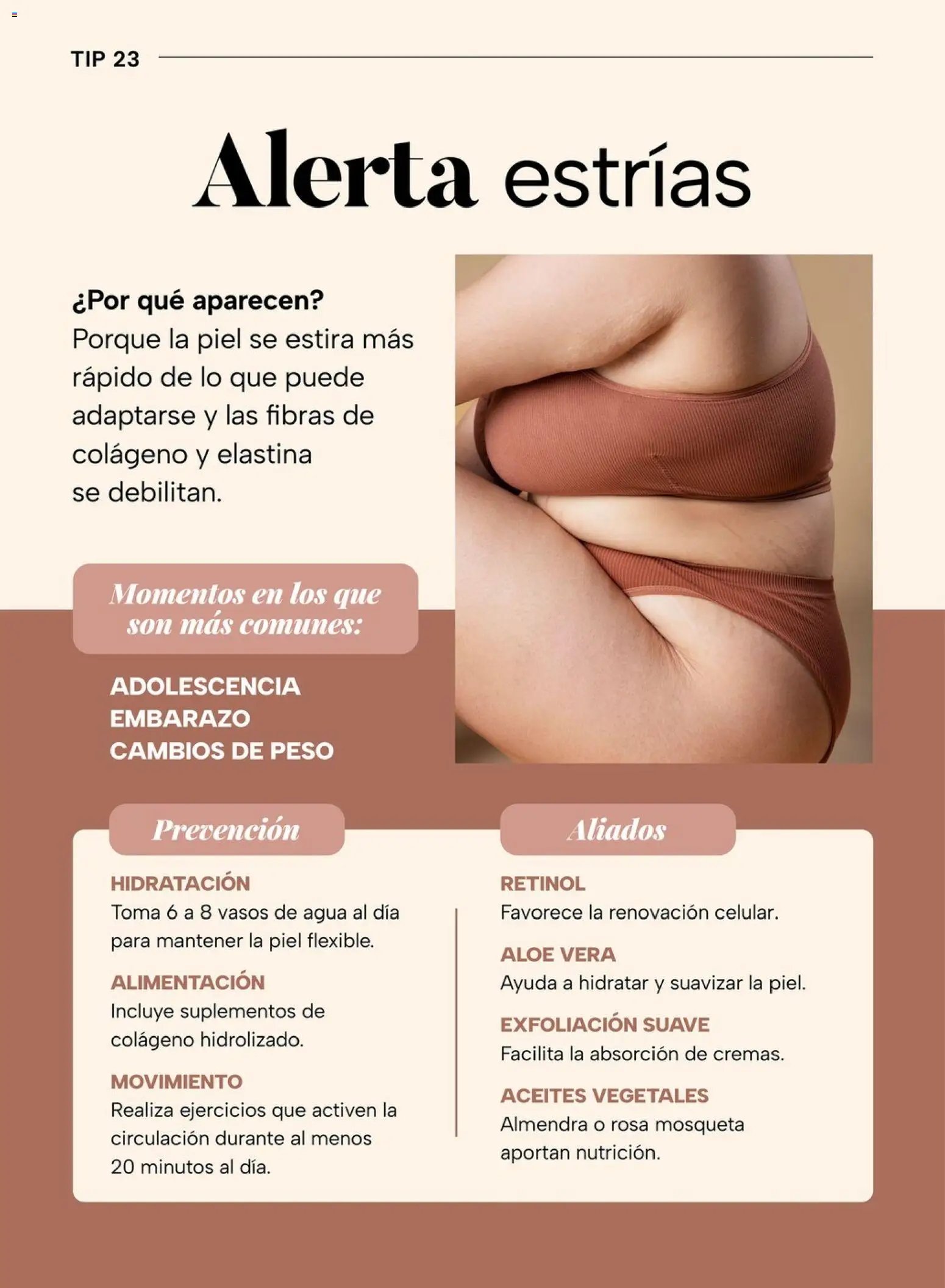 Chedraui folleto