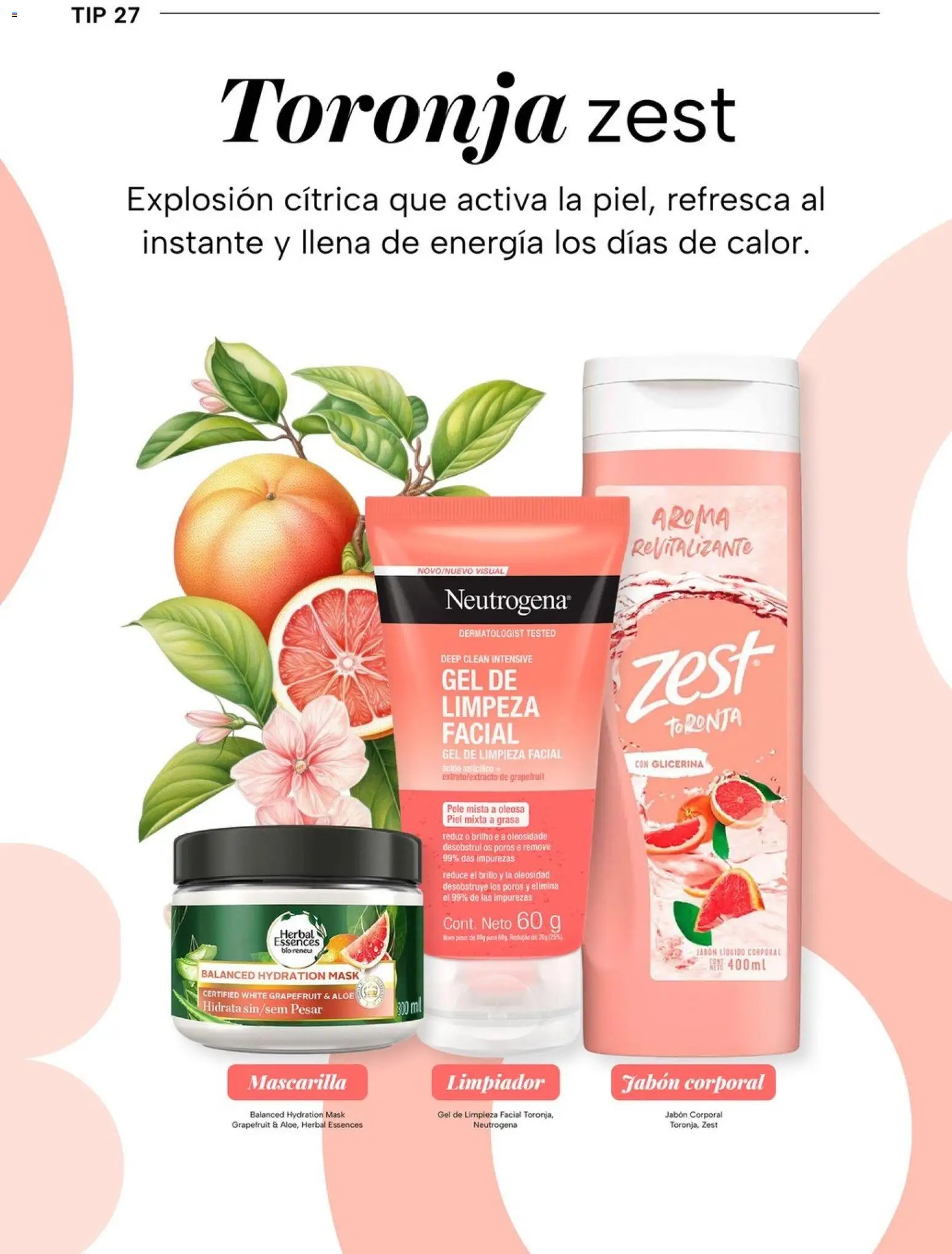 Chedraui folleto