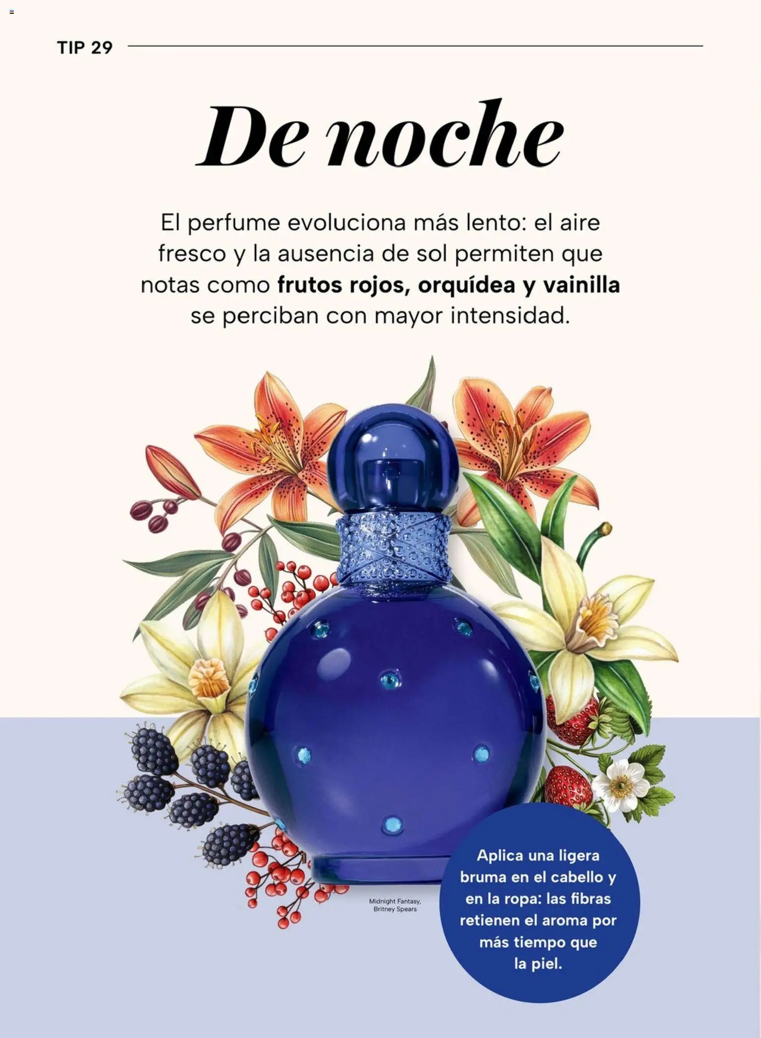 Chedraui folleto