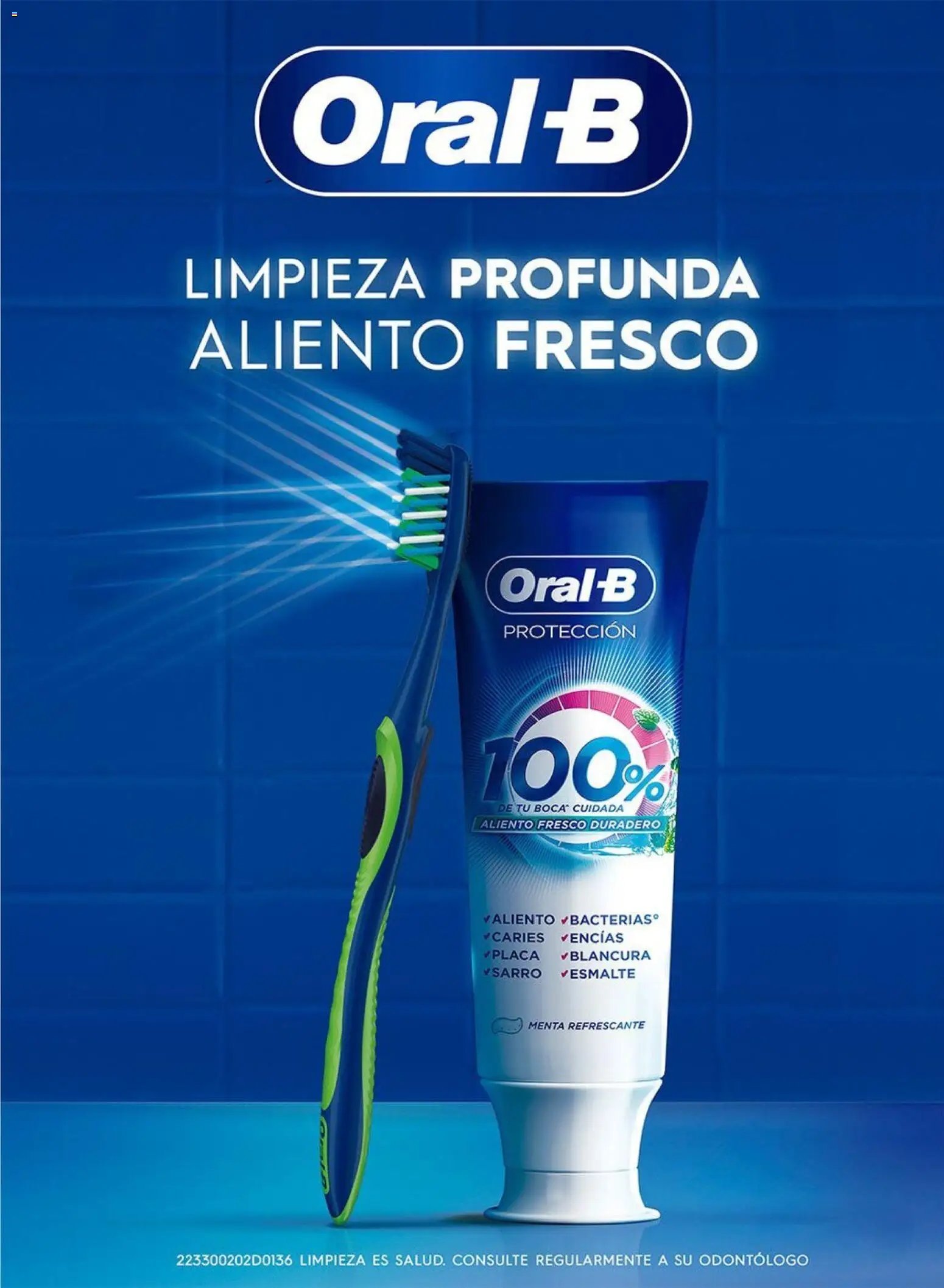 Chedraui folleto