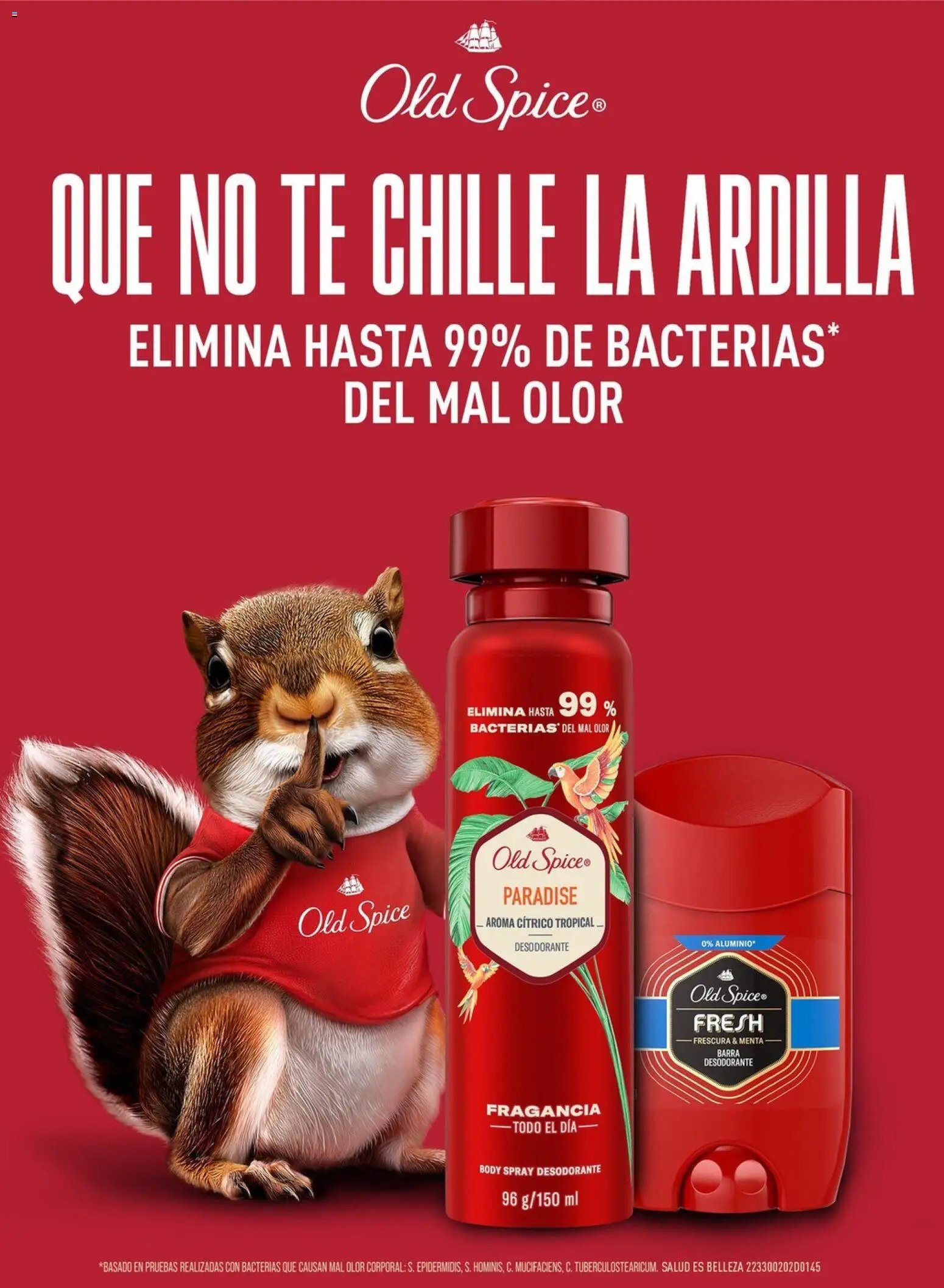 Chedraui folleto